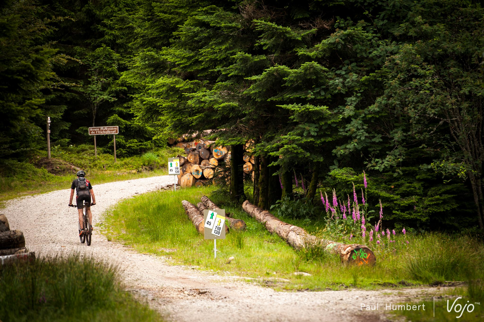 elsass-bike-vojo-2016-paul-humbert-80