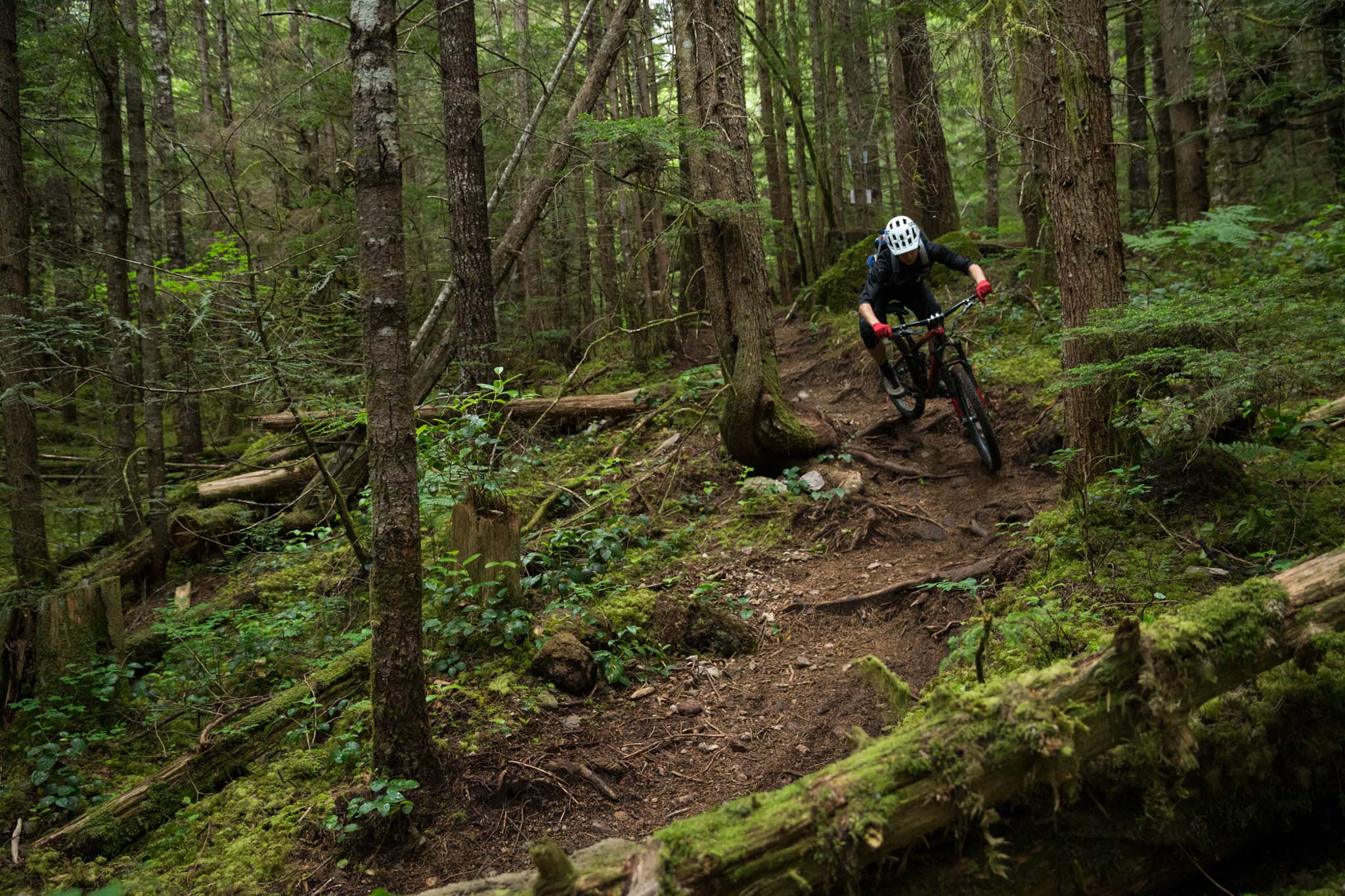 Trek Launch in Squamish, BC, Canada, June 2016