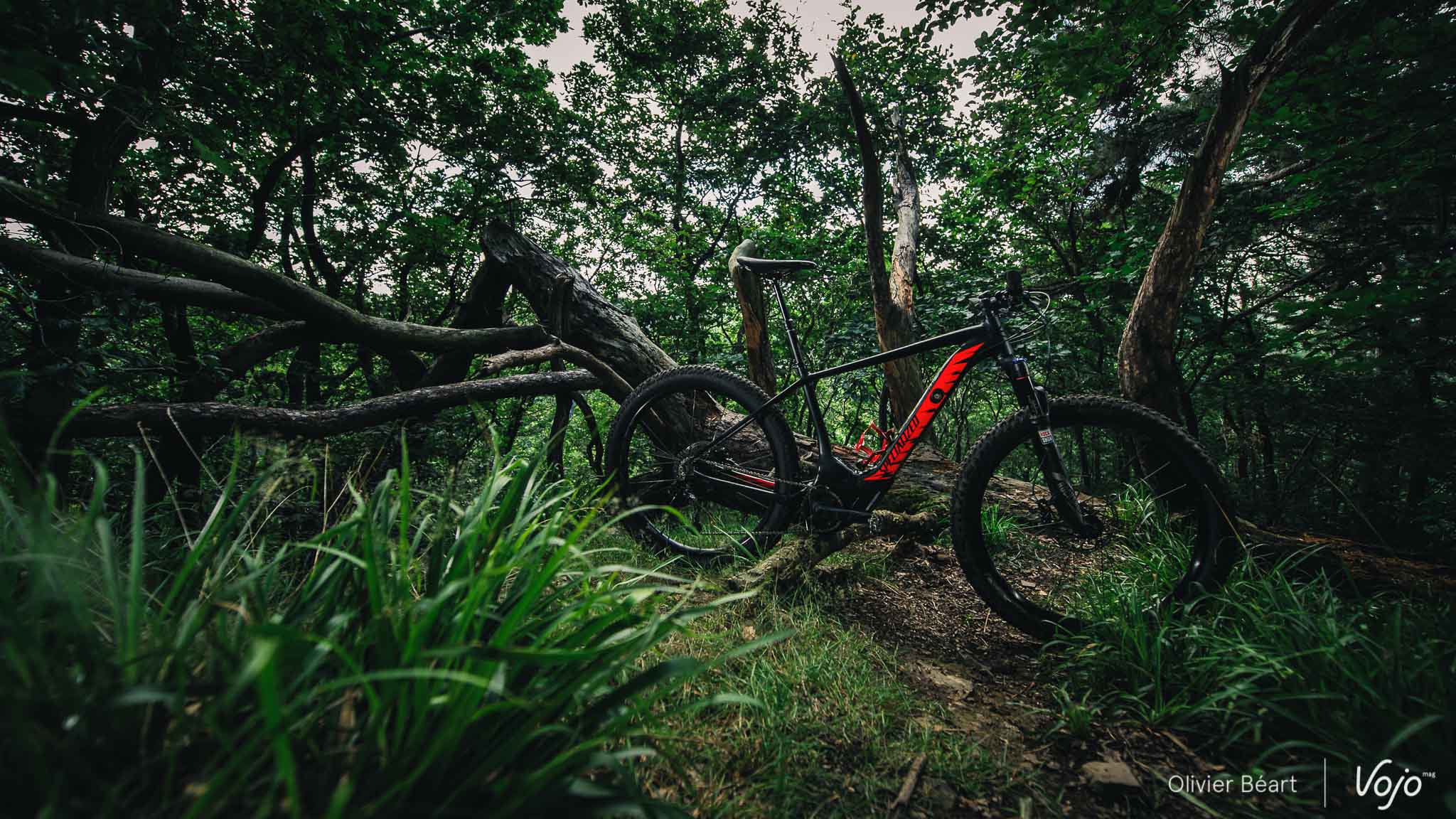 specialized_levo_ht_test_copyright_obeart_vojomag-3
