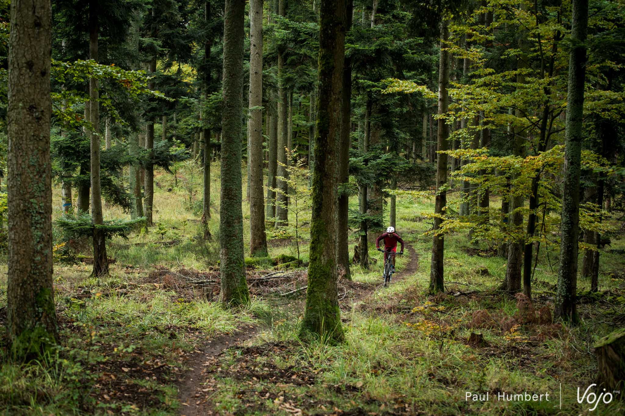 bmc-speedfox-trailcrew-02-2016-vojo-paul-humbert-3