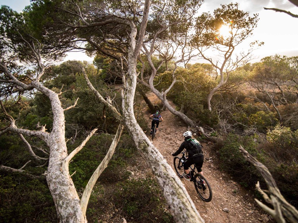 Porquerolles : vélos, voiliers, vadrouille