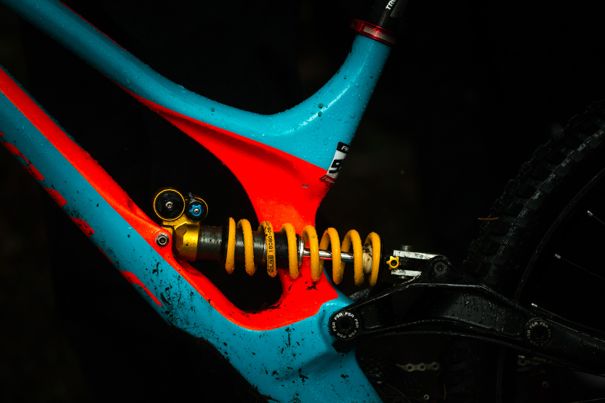 Specialized Gravity accueille Miranda Miller, Öhlins, Fox et Ceramicspeed