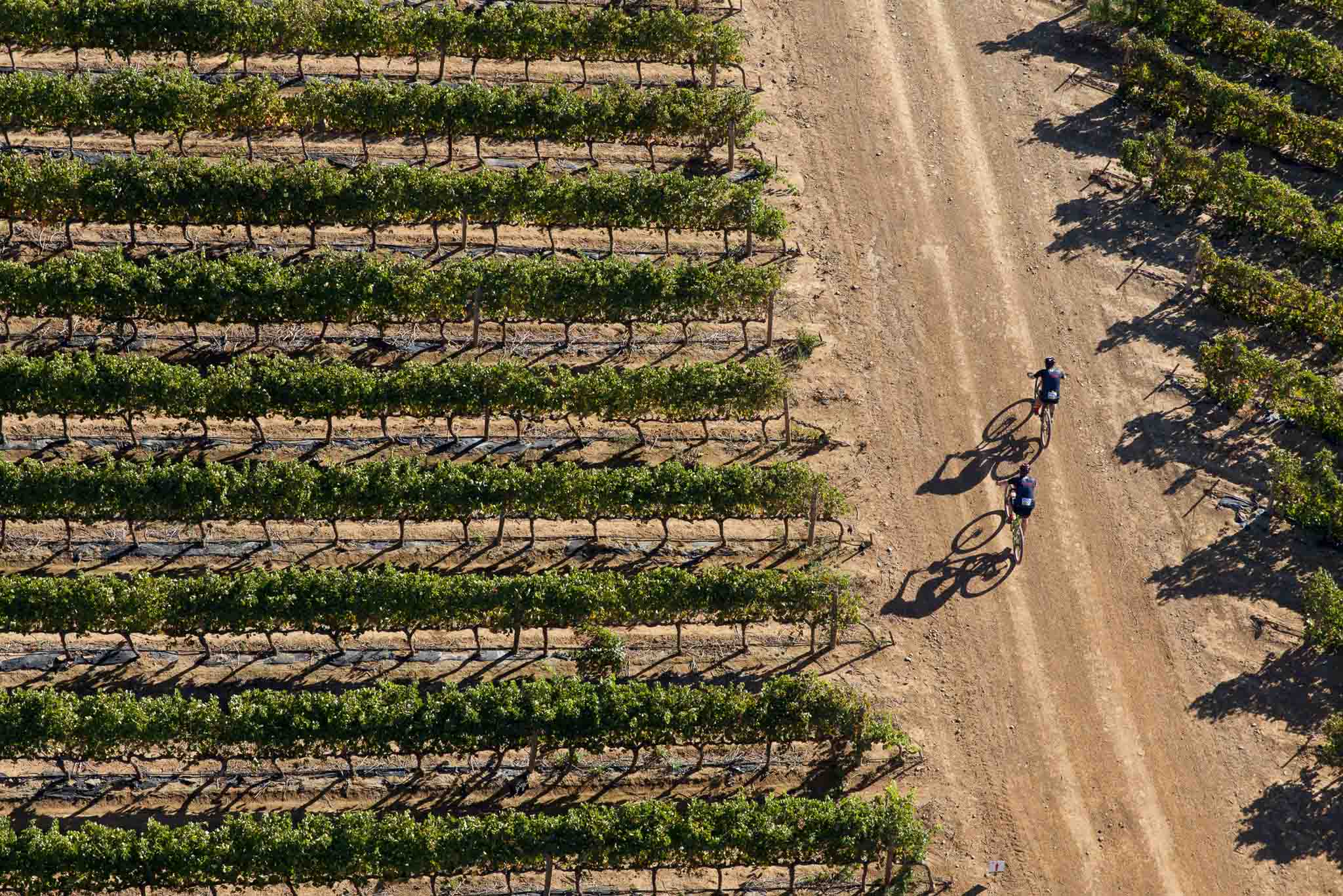 Photo by Greg Beadle/Cape Epic/SPORTZPICS