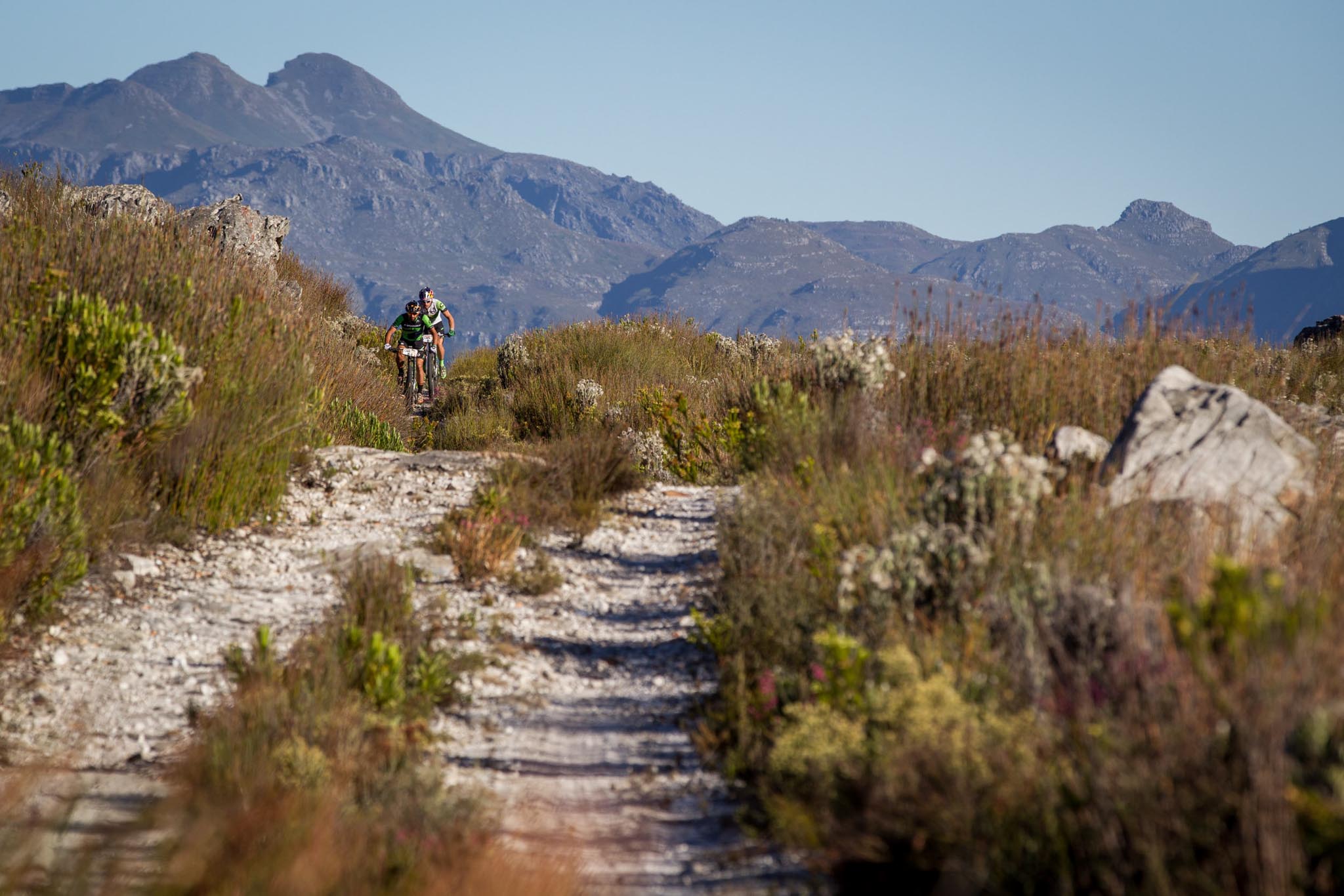 Photo by Nick Muzik/Cape Epic/SPORTZPICS