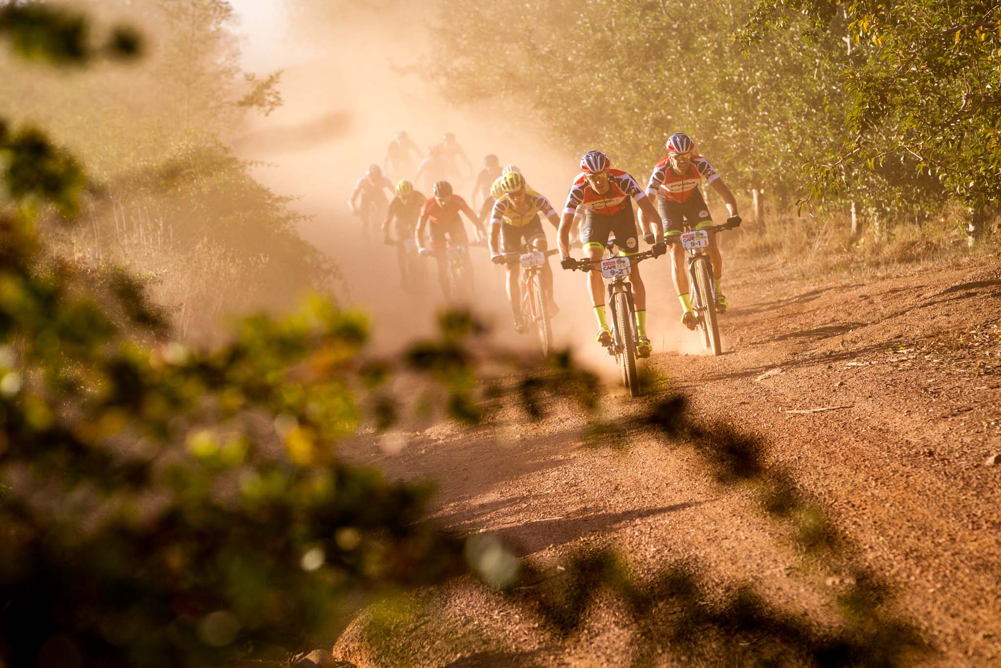 Photo by Nick Muzik/Cape Epic/SPORTZPICS