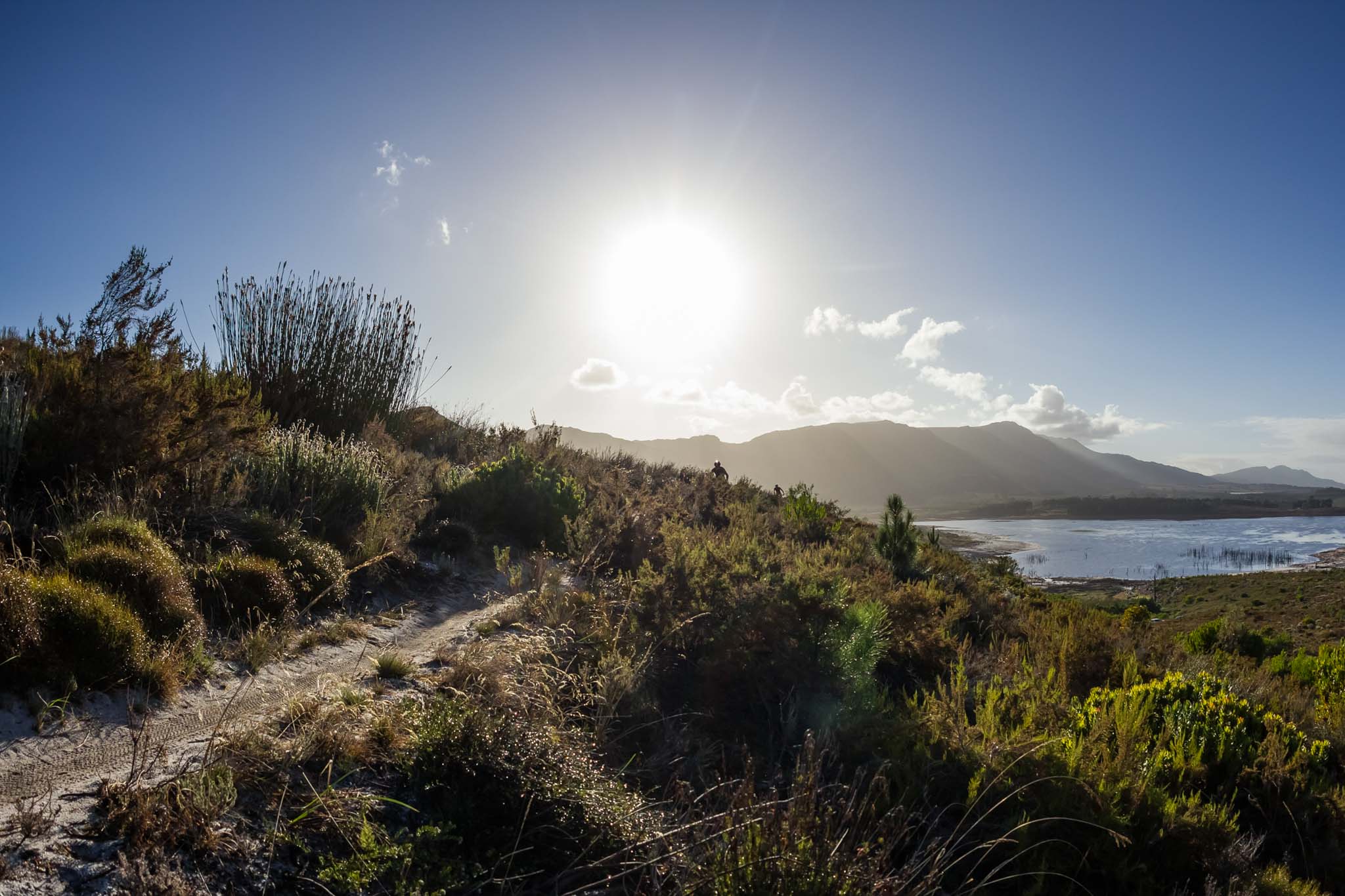 Photo by Dominic Barnardt/Cape Epic/SPORTZPICS