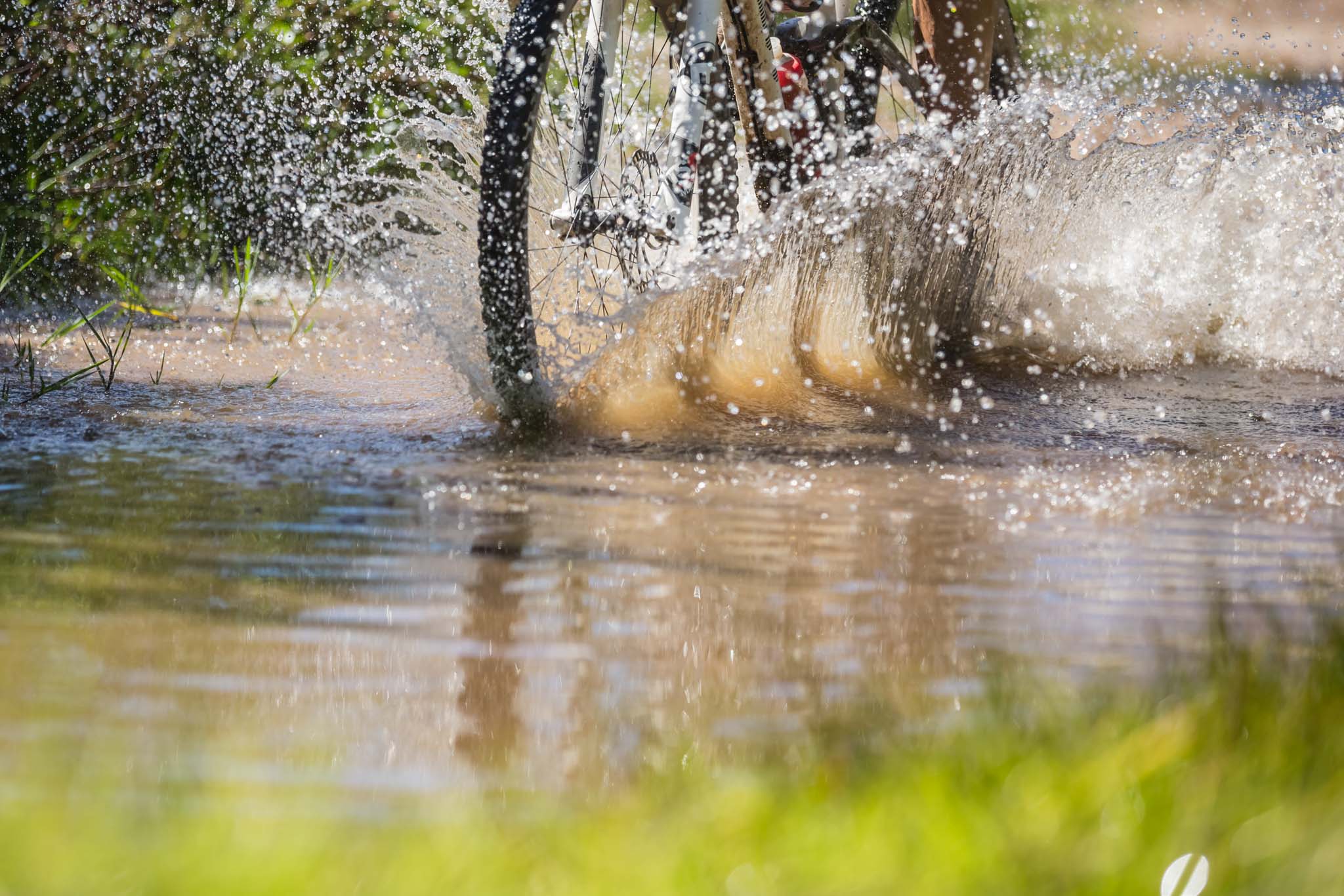 Photo by Dominic Barnardt/Cape Epic/SPORTZPICS