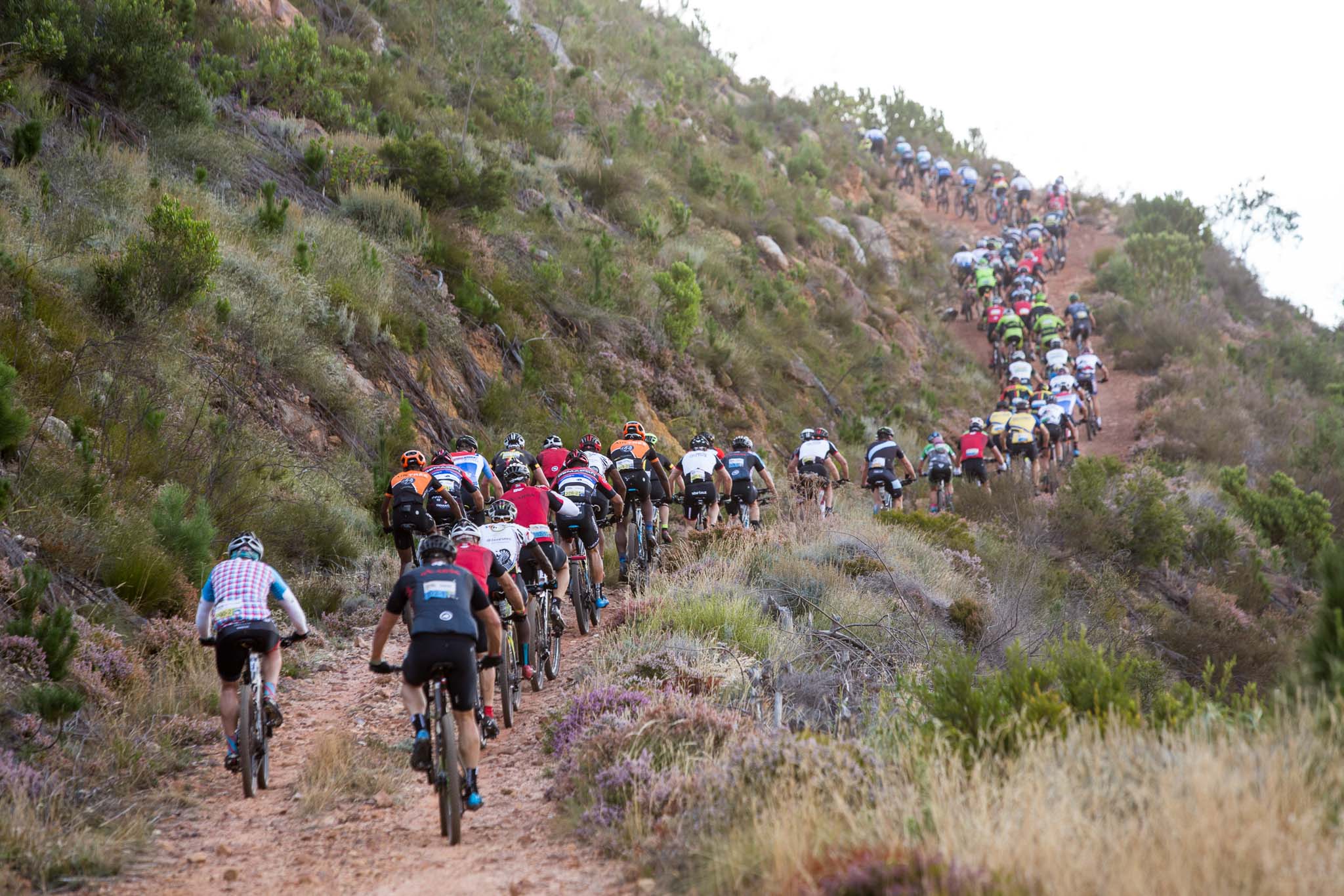 Photo by Sam Clark/Cape Epic/SPORTZPICS