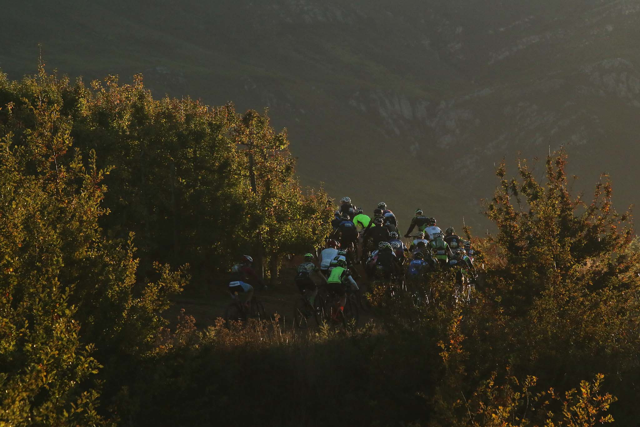 Photo by Shaun Roy/Cape Epic/SPORTZPICS