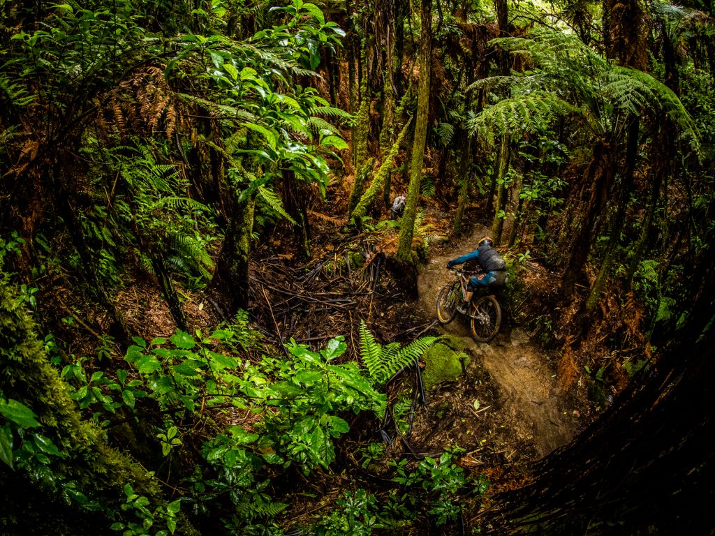 EWS #1 - Rotorua : les entraînements