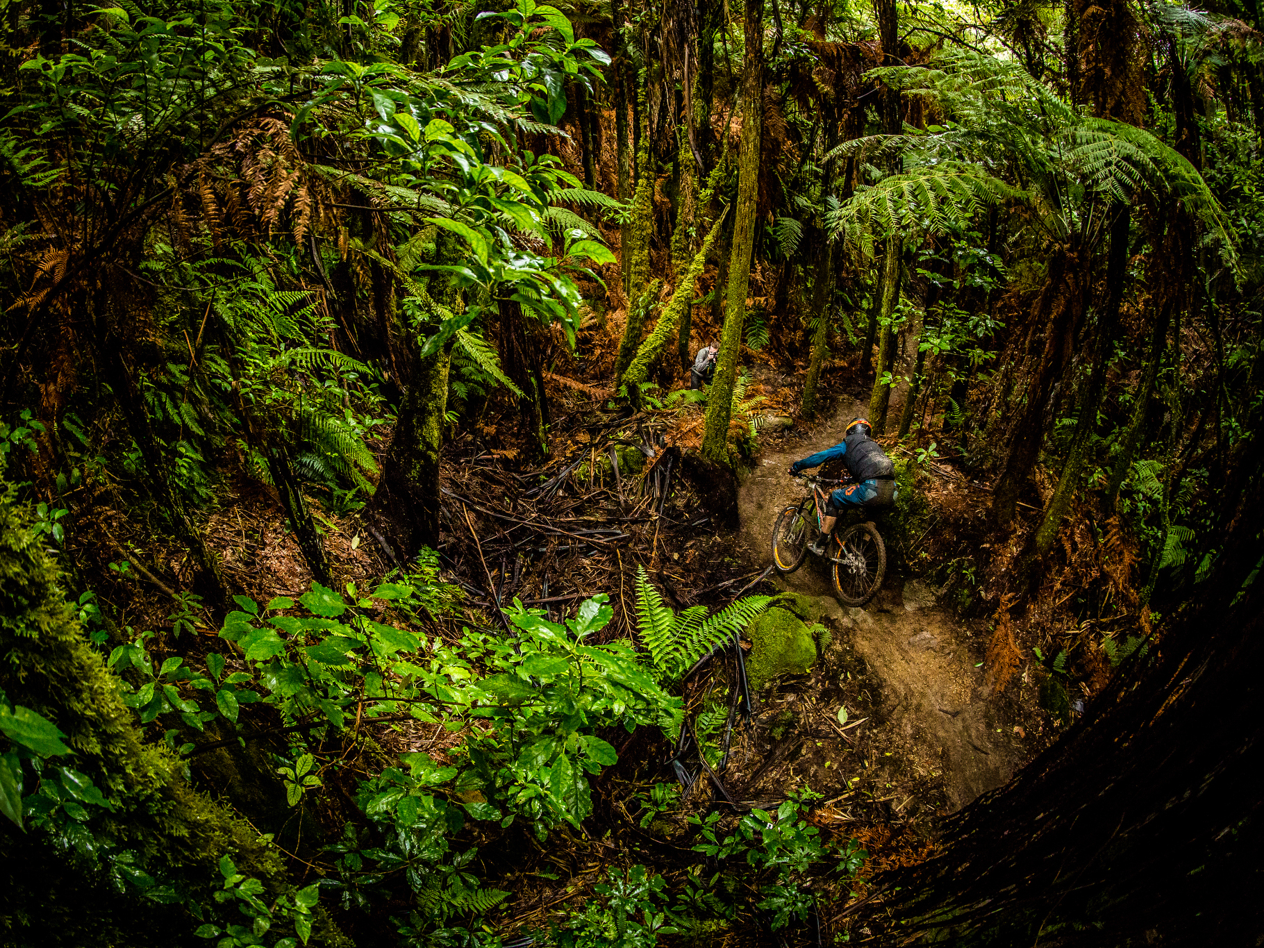 EWS #1 – Rotorua : les entraînements