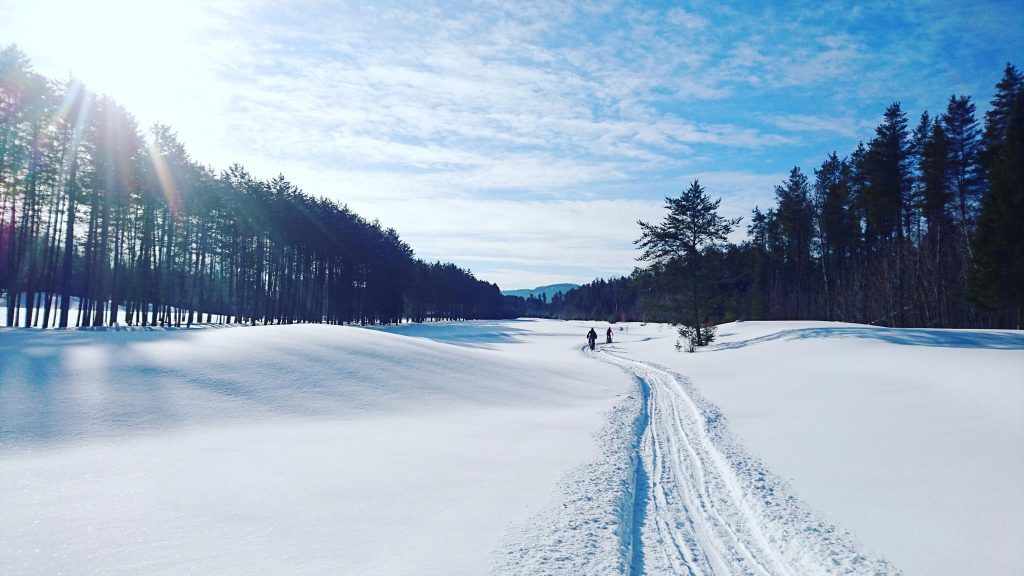 Un hiver au Canada : mon fatbike et moi