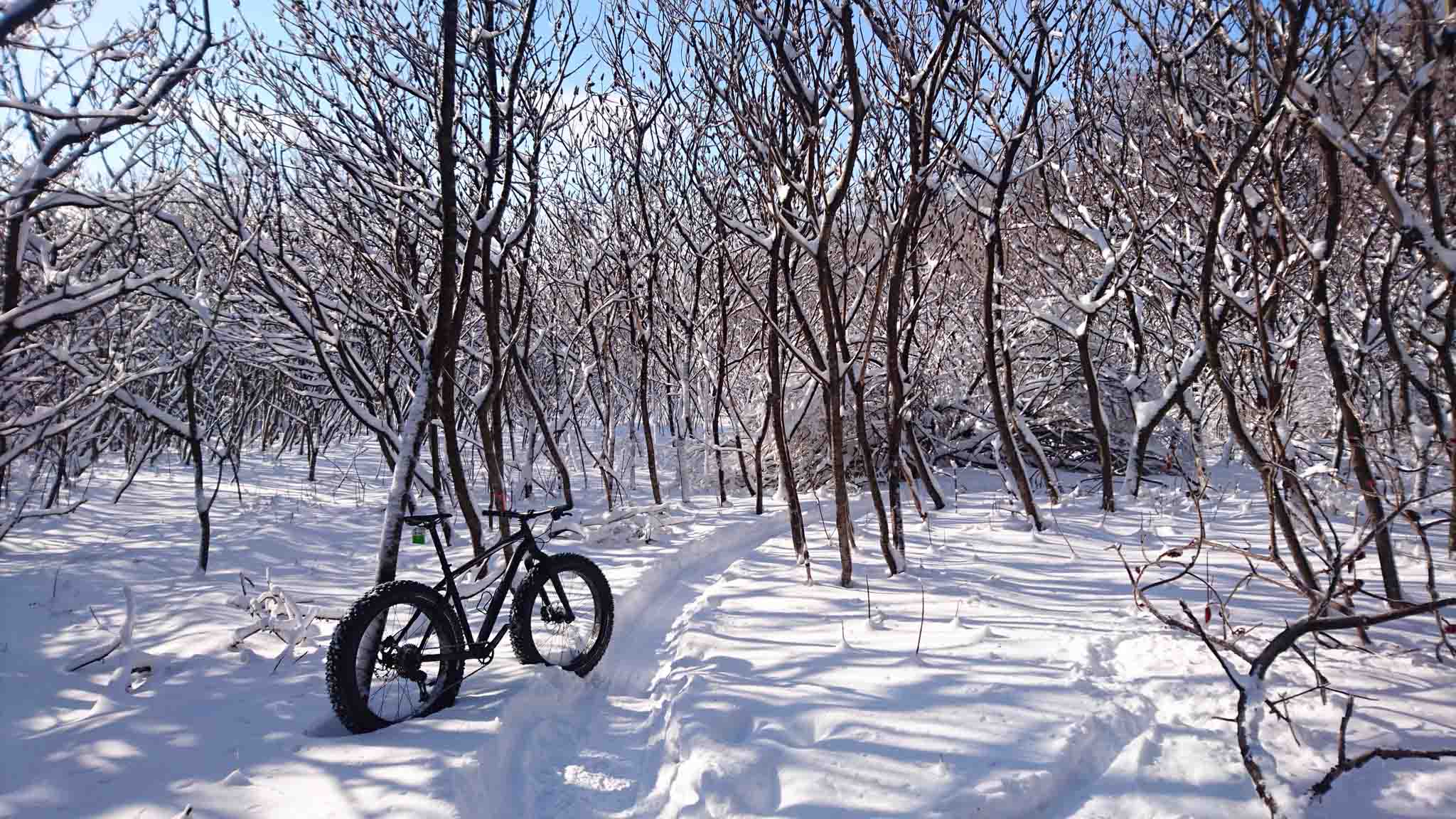 <em>L’abbaye d’Oka, spot immanquable pour tout Montréalais qui veut rouler en VTT / fatbike !</em>