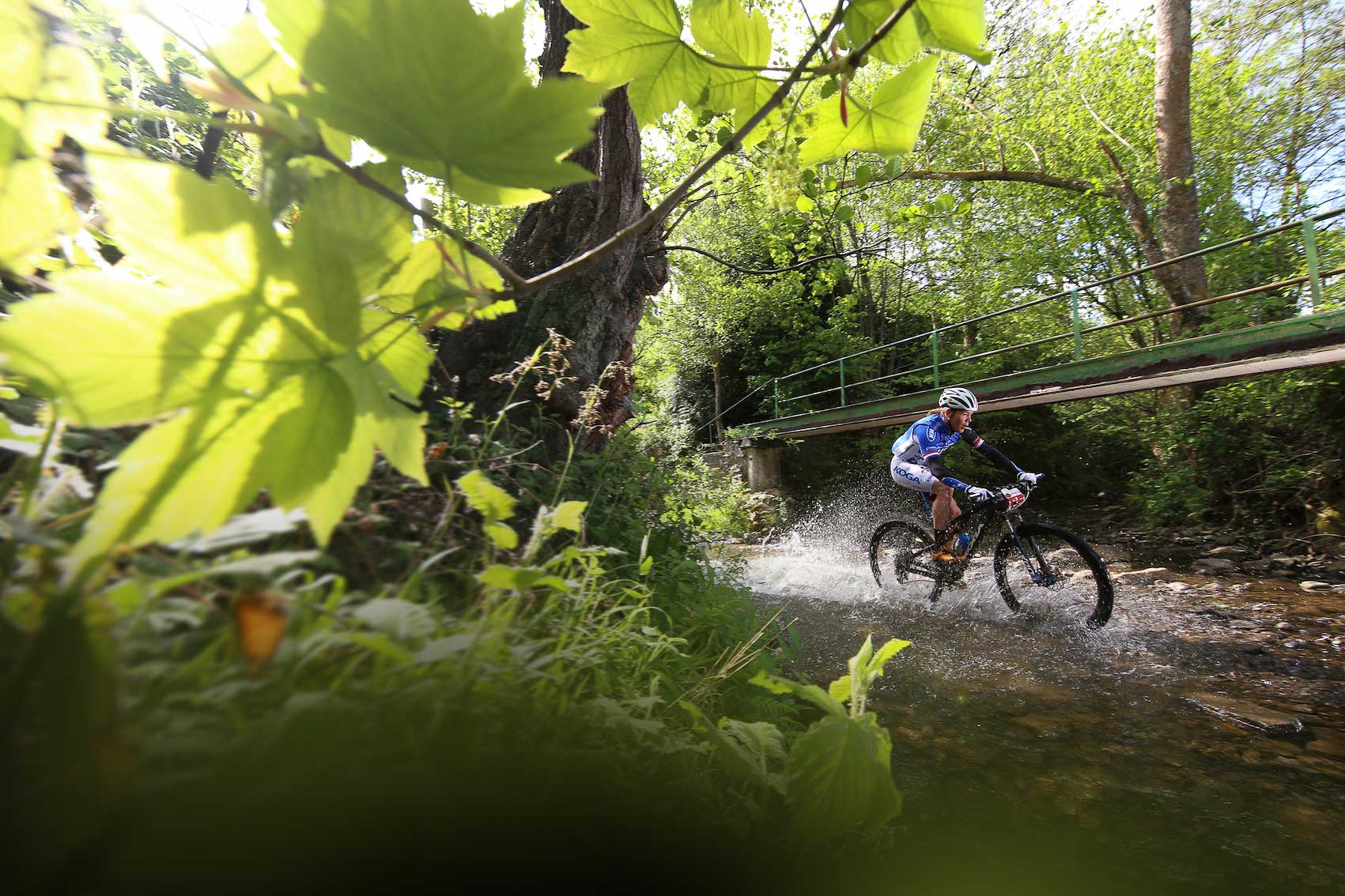 Articles de presse - photo 39