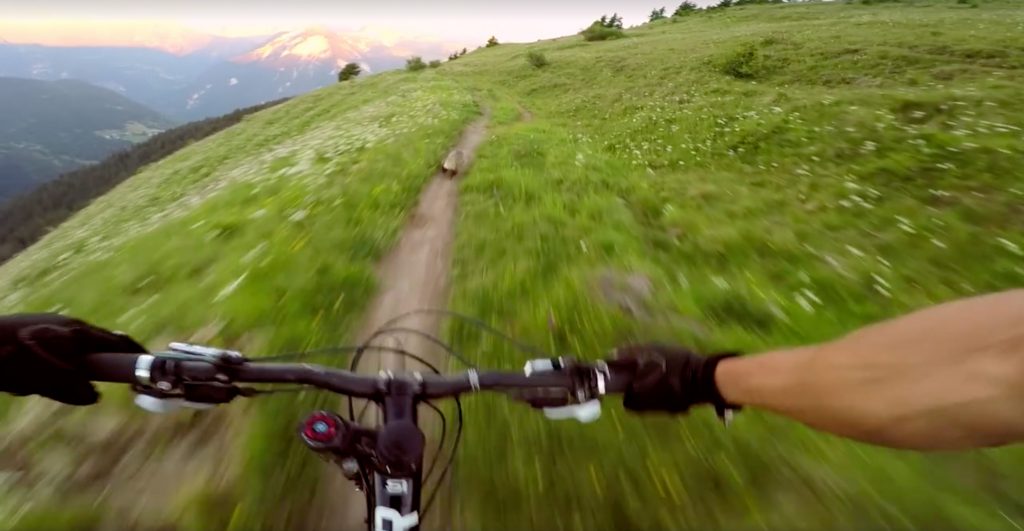 Une leçon de pilotage par une marmotte