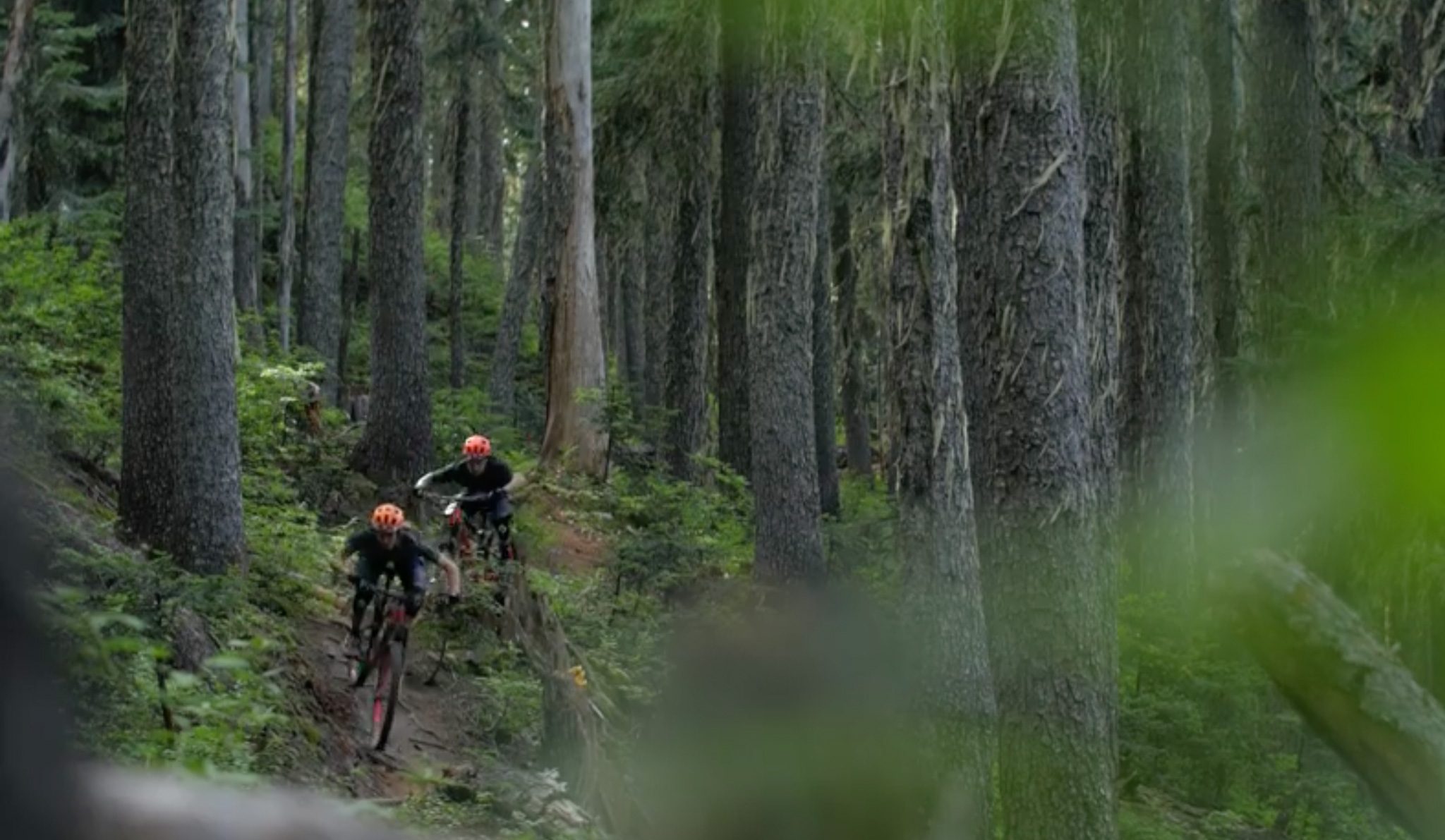 Rémy Absalon et Elliot Trabac à Whistler en Scott Genius 2018