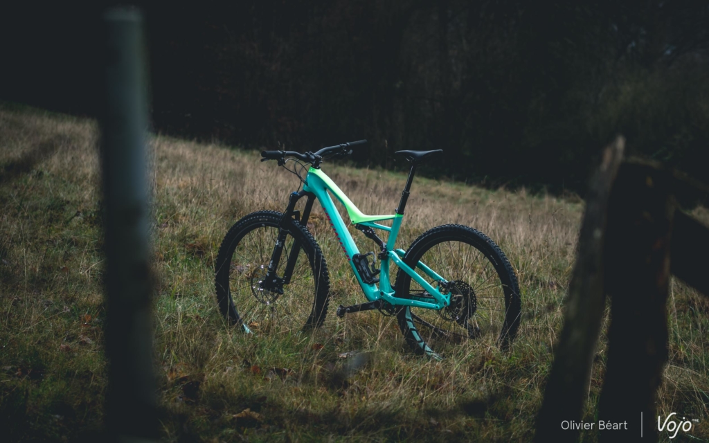 Test | Specialized Stumpjumper Expert 29 : un mythe, ça s'entretient