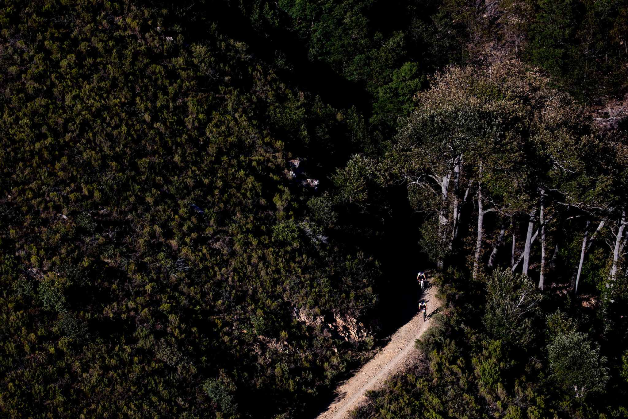 Photo by Greg Beadle/Cape Epic/SPORTZPICS