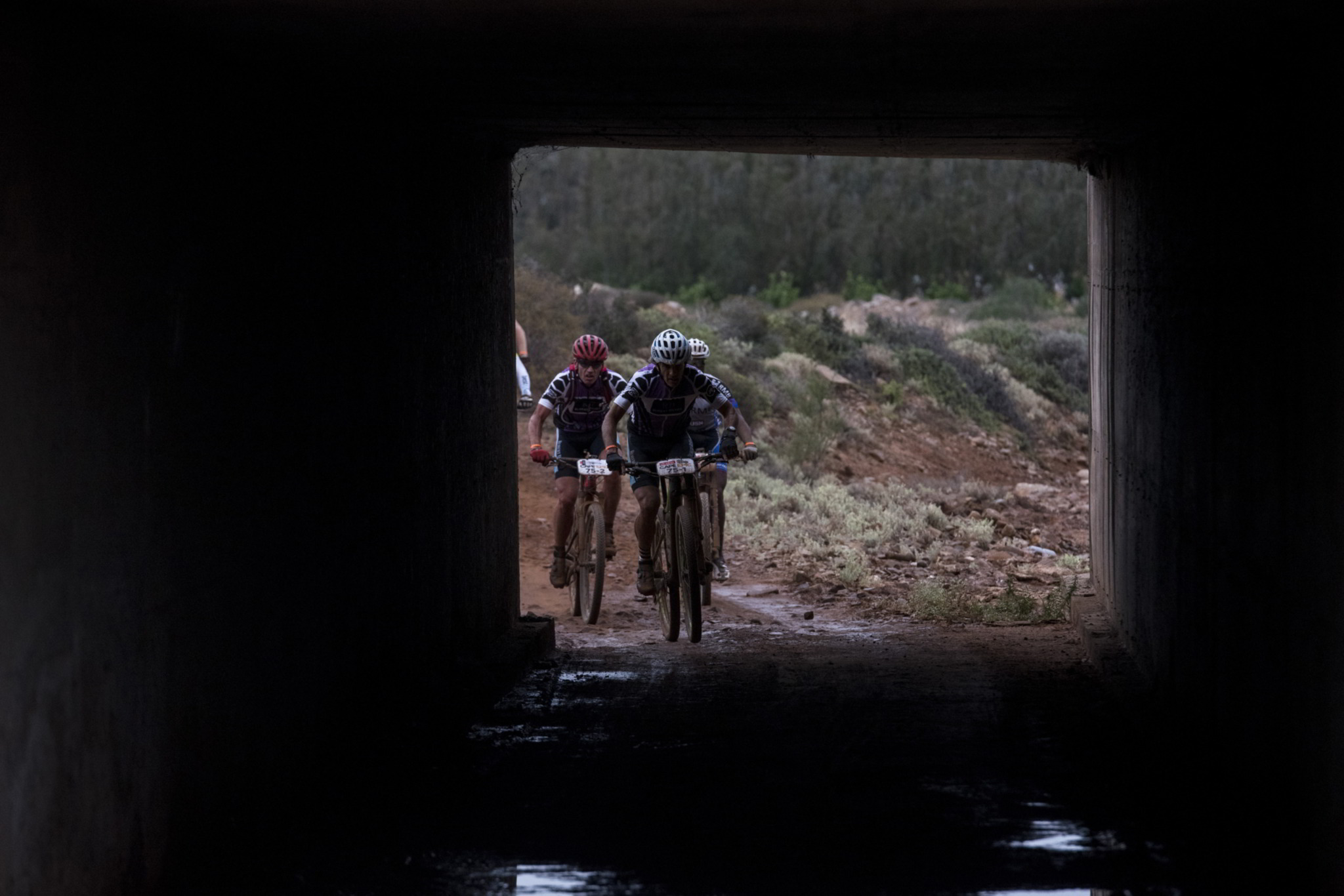 <br />Photo by Andrew McFadden/Cape Epic/SPORTZPICS