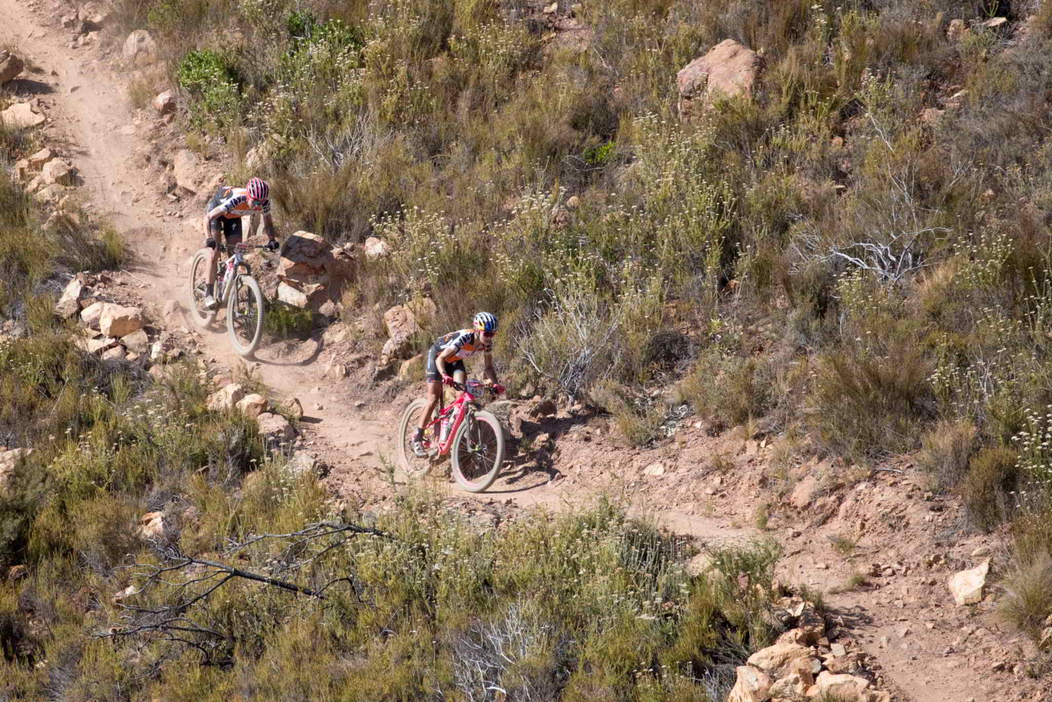 Photo by Greg Beadle/Cape Epic/SPORTZPICS