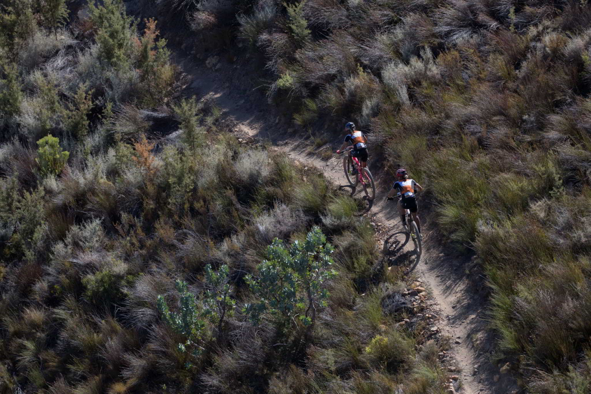 Photo by Greg Beadle/Cape Epic/SPORTZPICS