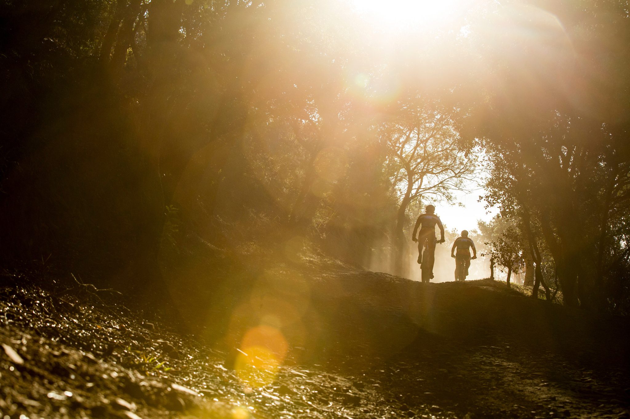 Photo by Nick Muzik/Cape Epic/SPORTZPICS