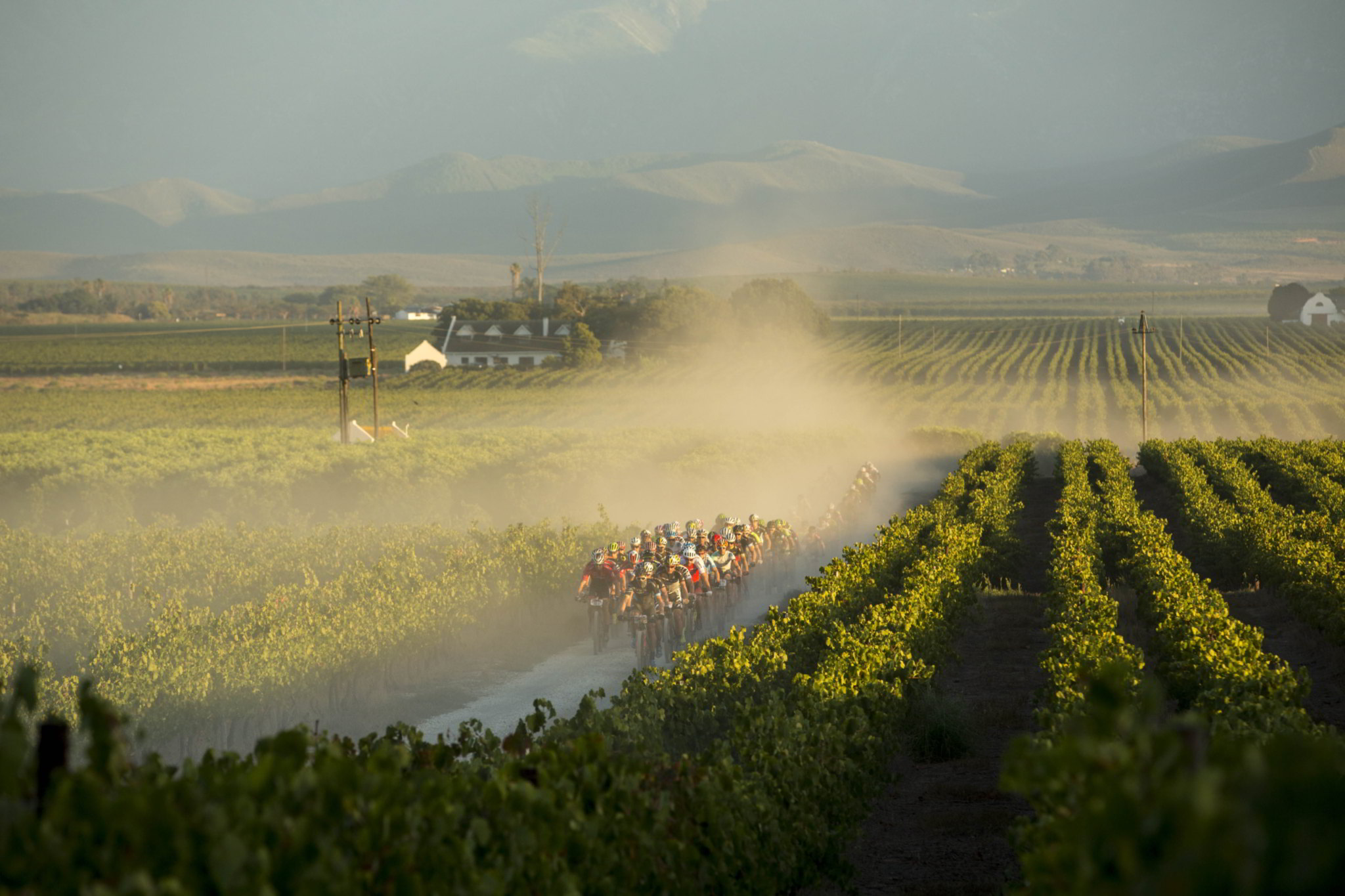 Photo by Nick Muzik/Cape Epic/SPORTZPICS