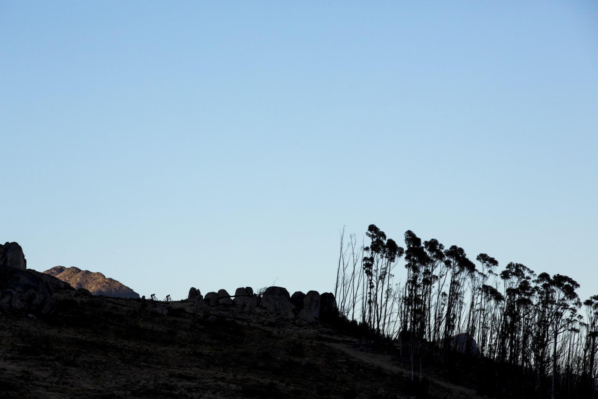 Photo by Nick Muzik/Cape Epic/SPORTZPICS