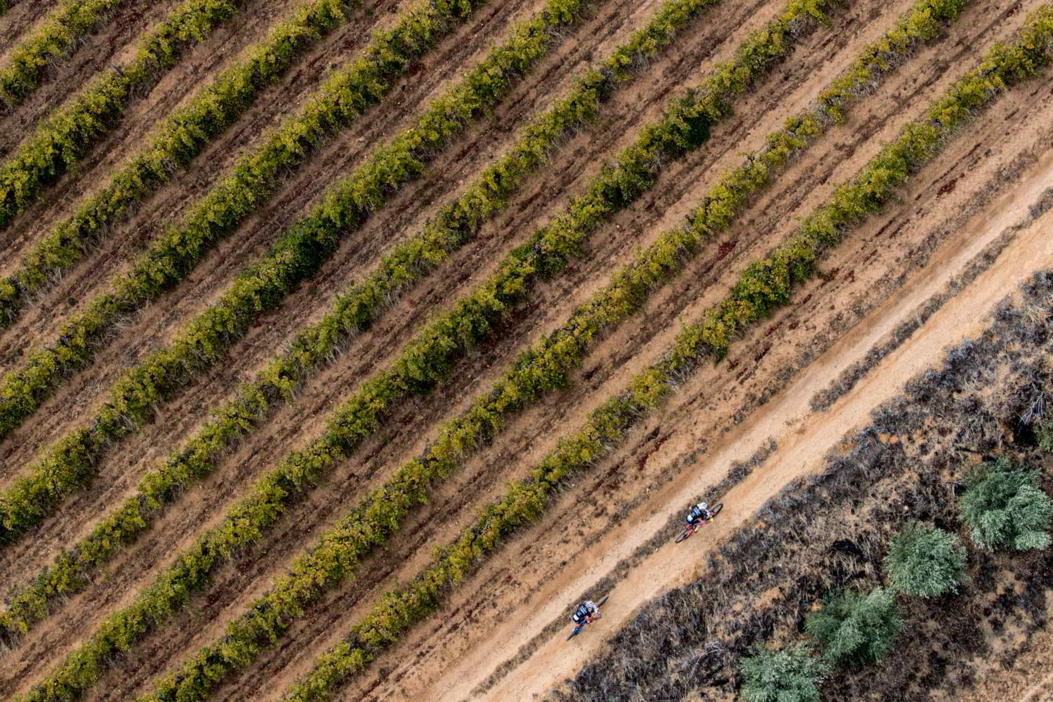 Photo by Greg Beadle/Cape Epic/SPORTZPICS