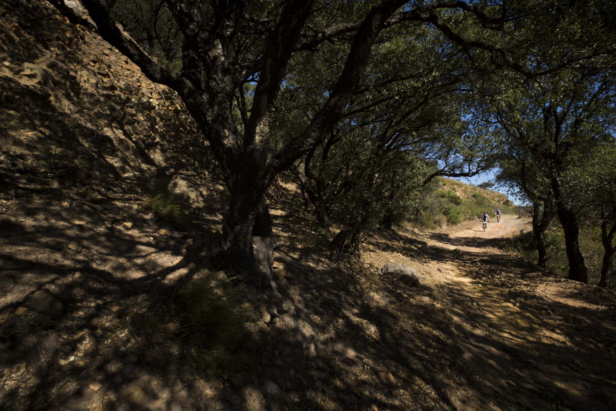 Photo by Nick Muzik/Cape Epic/SPORTZPICS