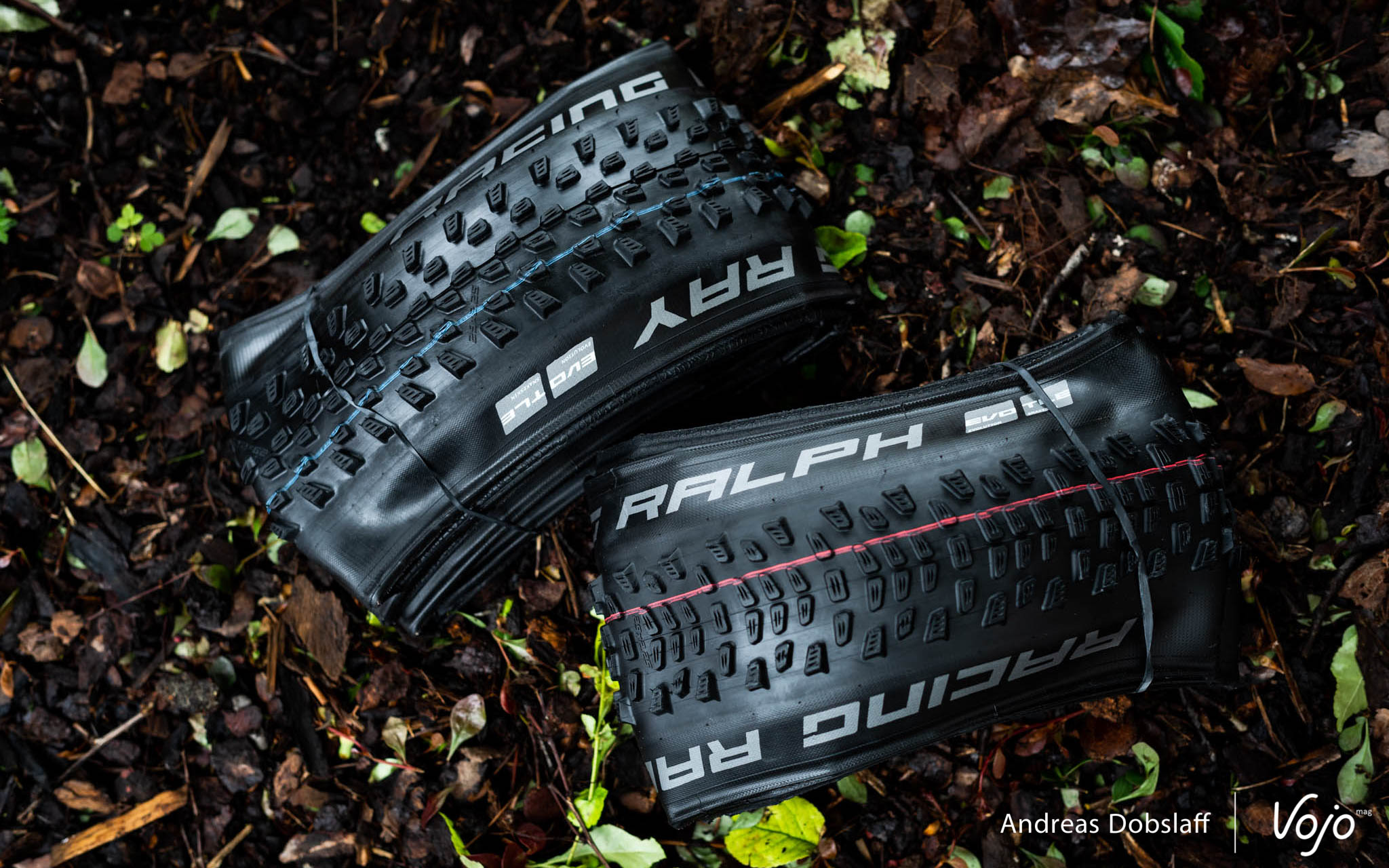 Schwalbe Racing Ray & Racing Ralph: deux nouveaux frères pour le XC !