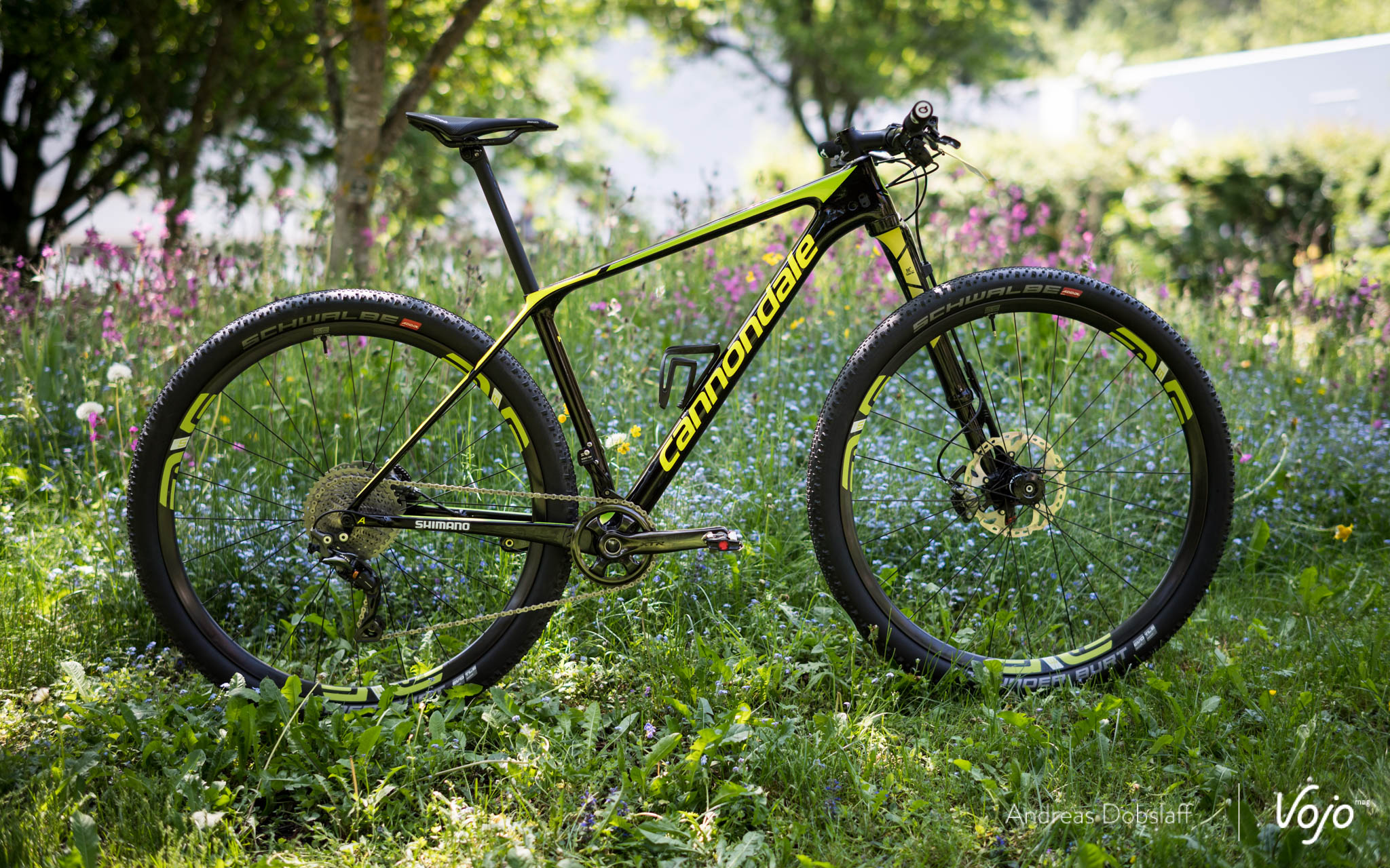 2019 cannondale sales fsi