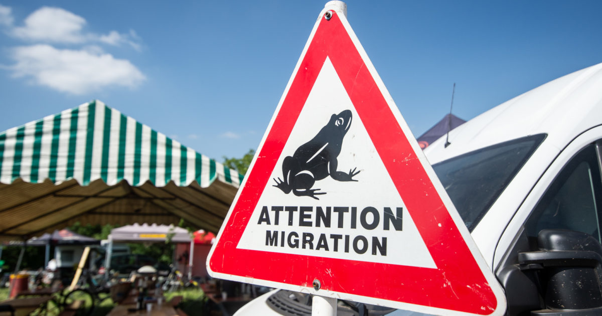 Pour leurs 30 ans, les Crapauds annoncent la révolution ! ⋆ Vojo