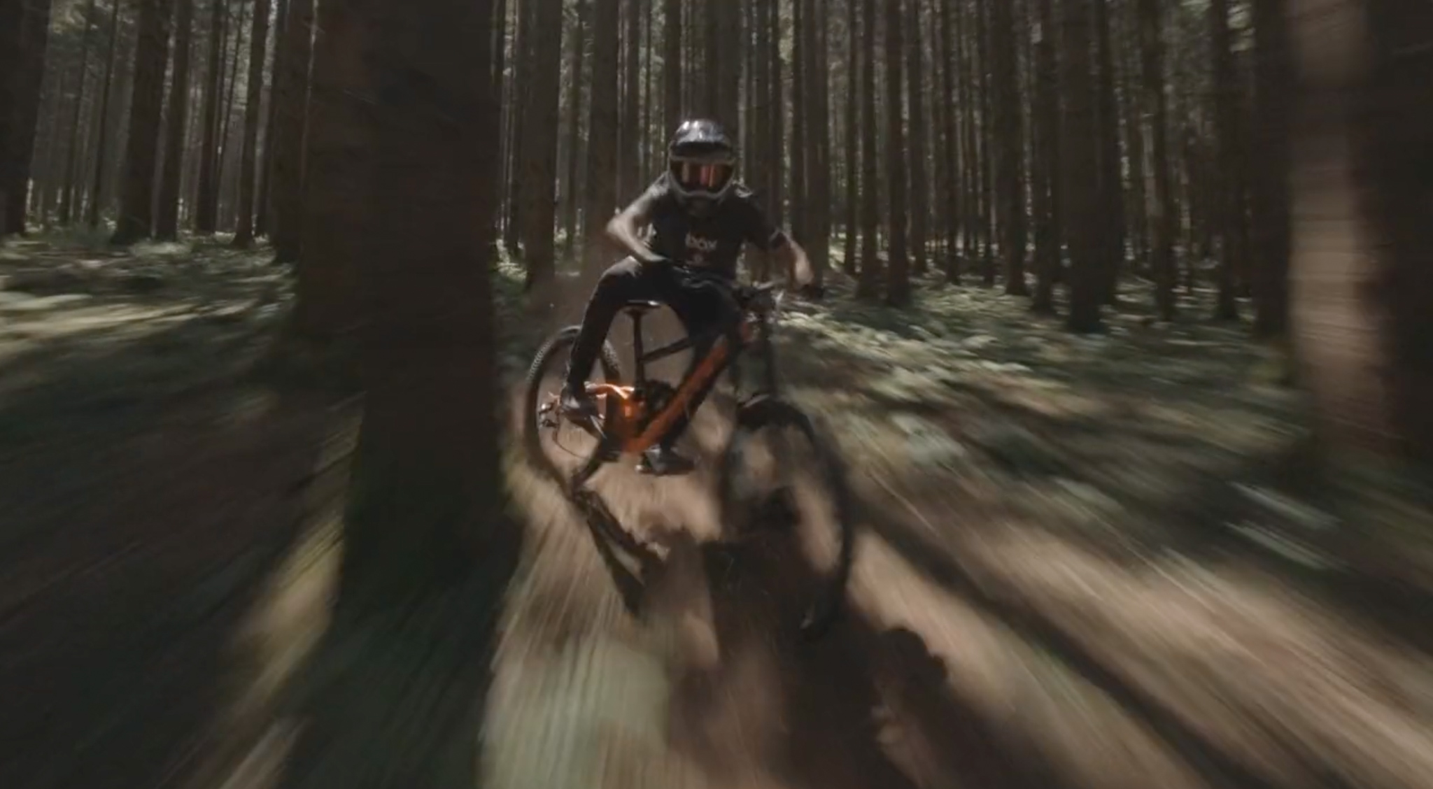 Vincent Tupin & Eliott Lapôtre dans les forêts vosgiennes