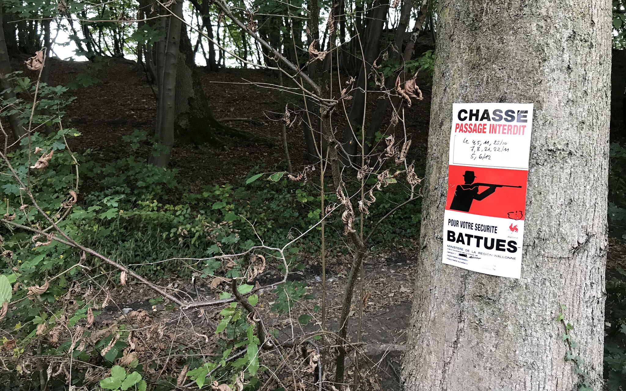 Un VTTiste tué par un chasseur à Montriond : et après ?