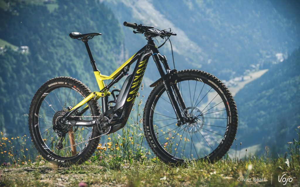 Canyon Spectral:ON 8.0 : l’ebike débranché