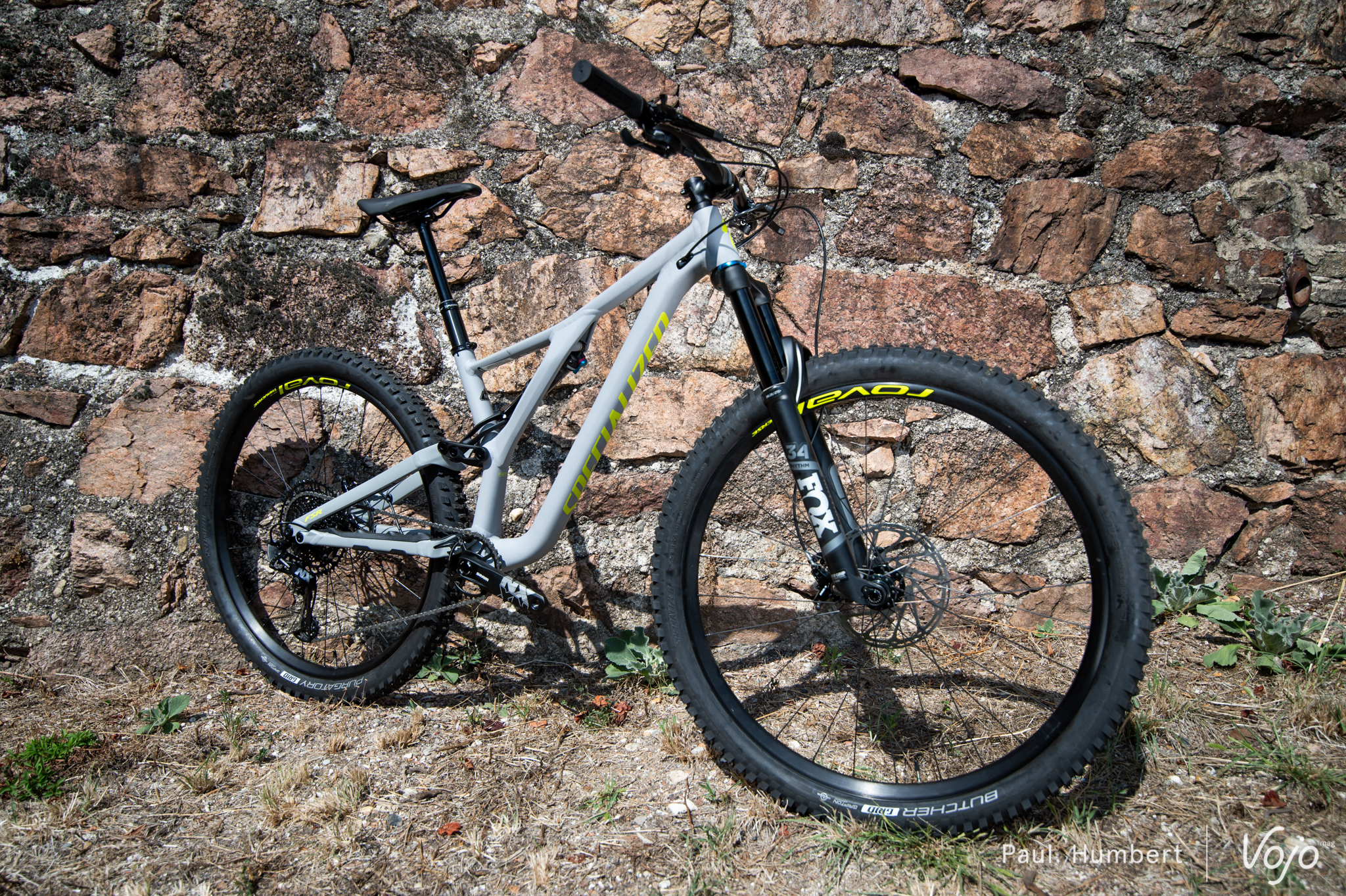 specialized stumpjumper occasion