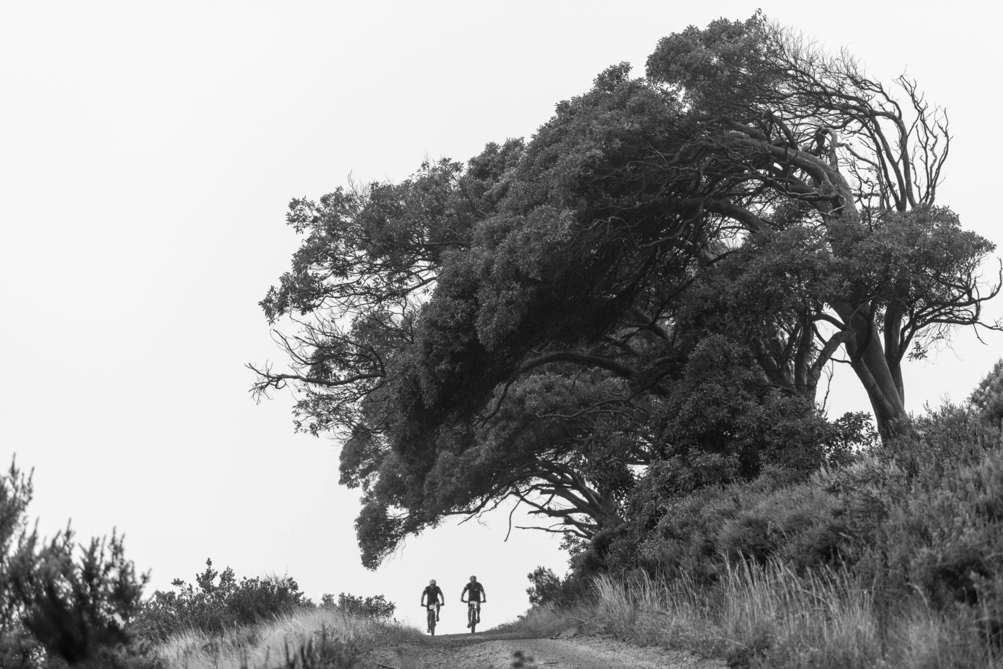 Photo by Xavier Briel/Cape Epic