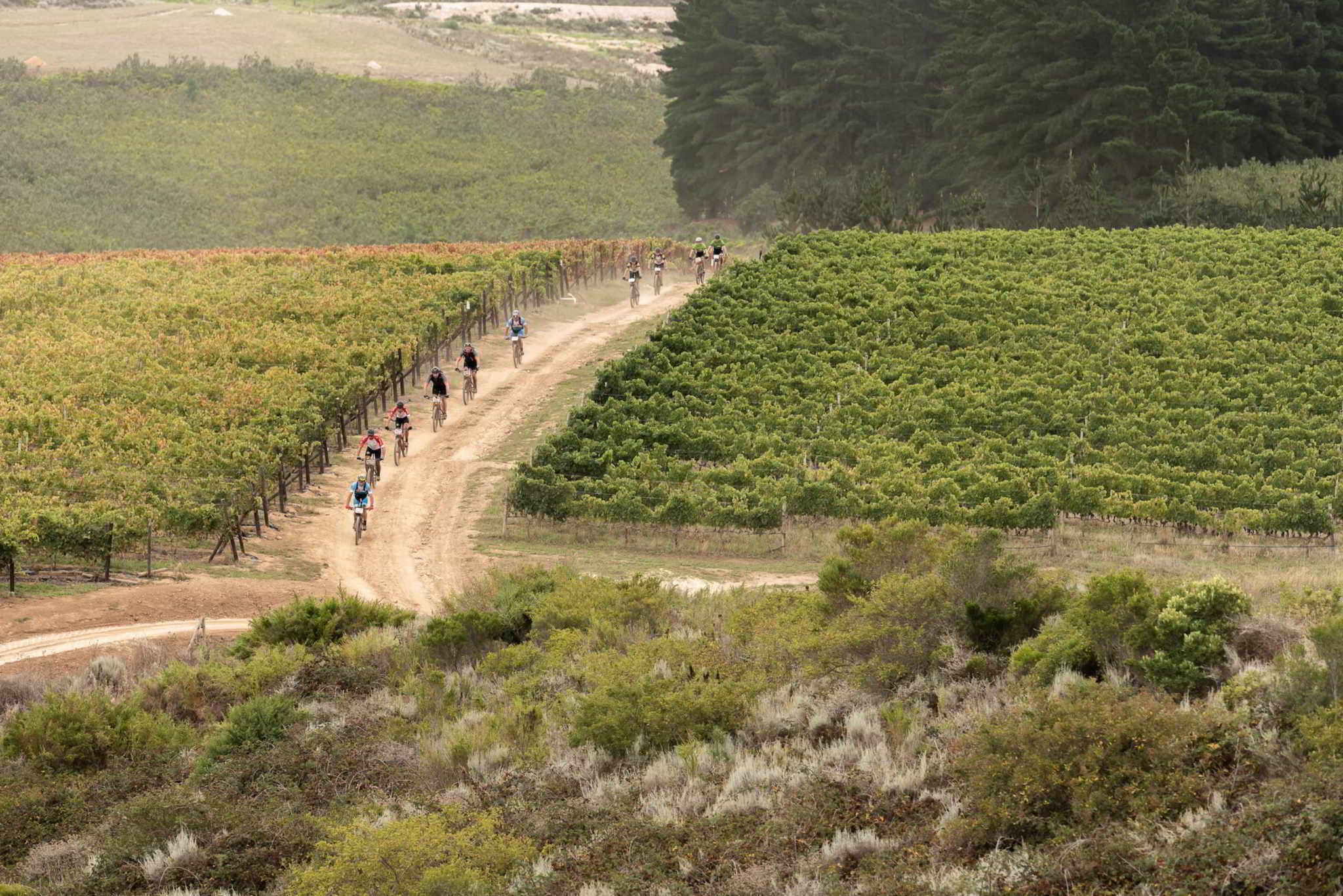 Photo by Xavier Briel/Cape Epic