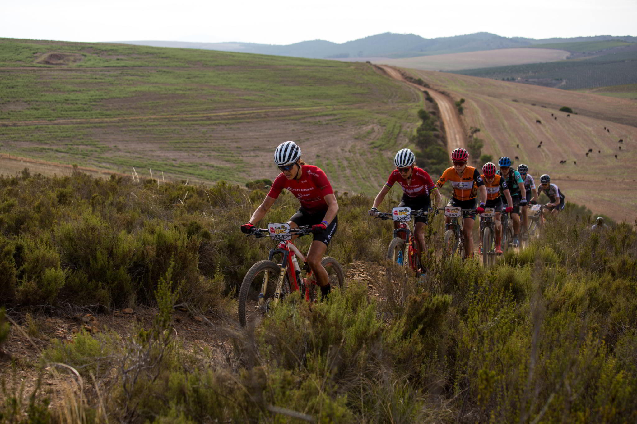 Photo by Dwayne Senior/Cape Epic