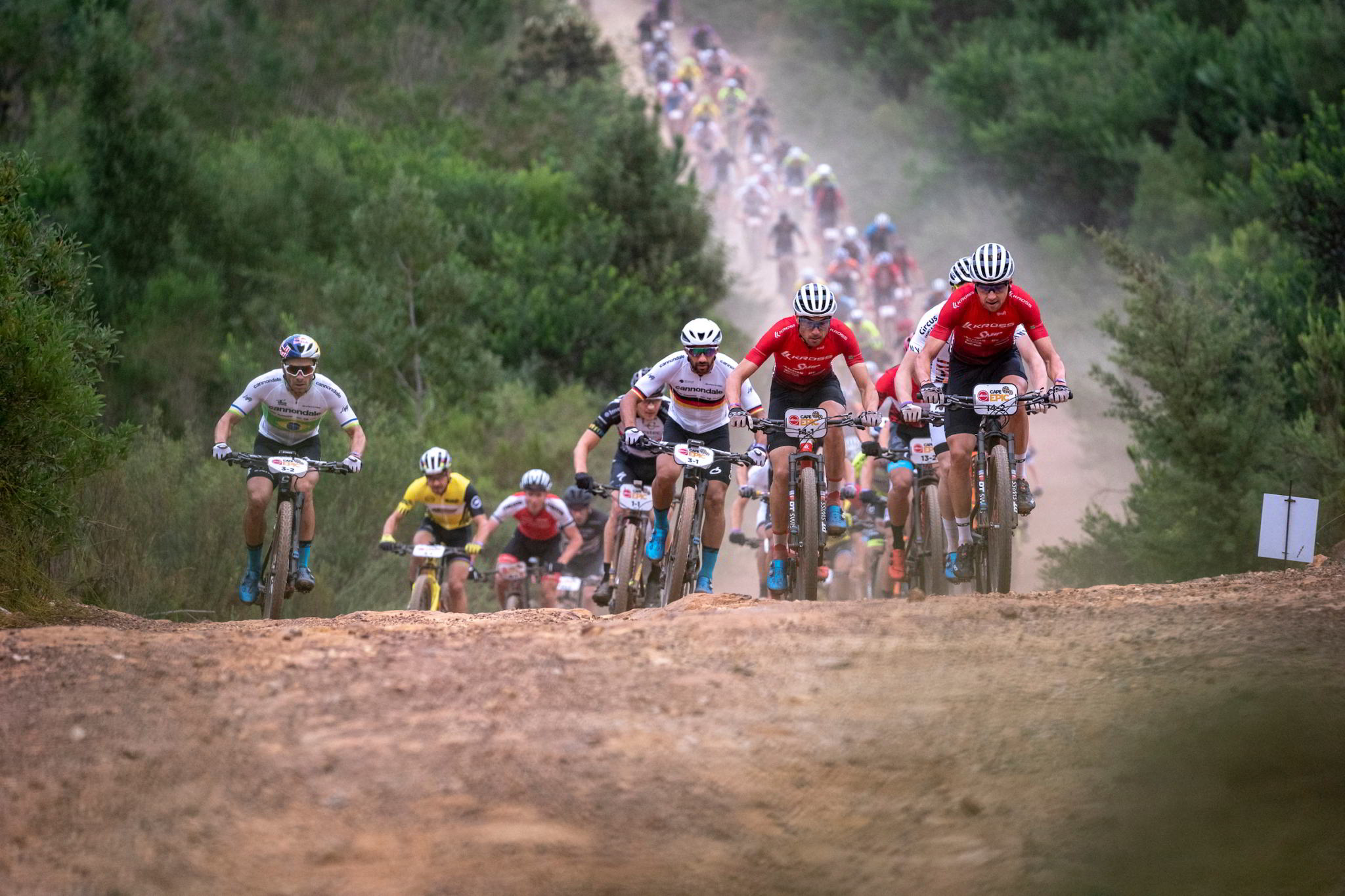 Photo by Nick Muzik/Cape Epic