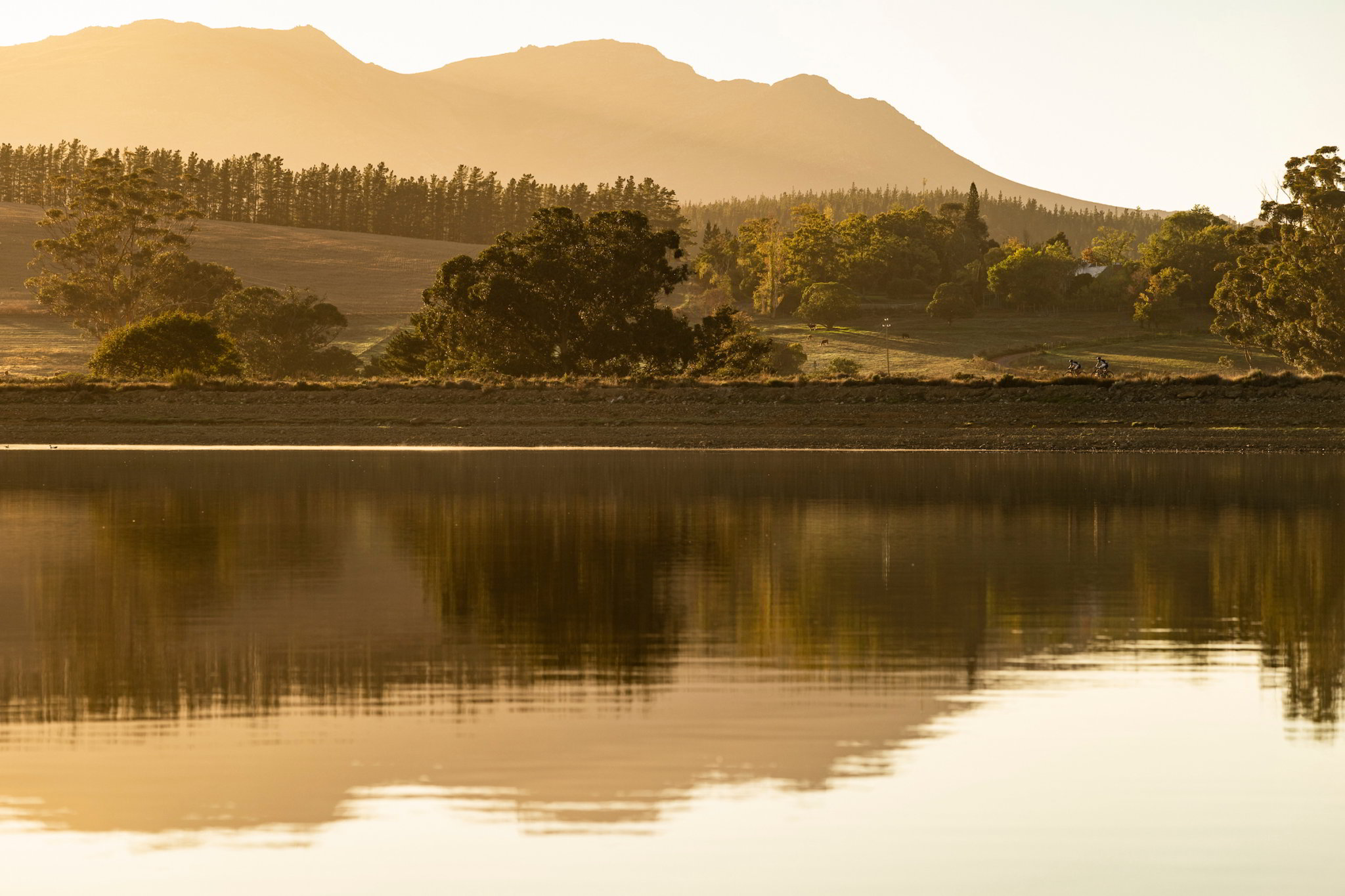 Photo by Nick Muzik/Cape Epic