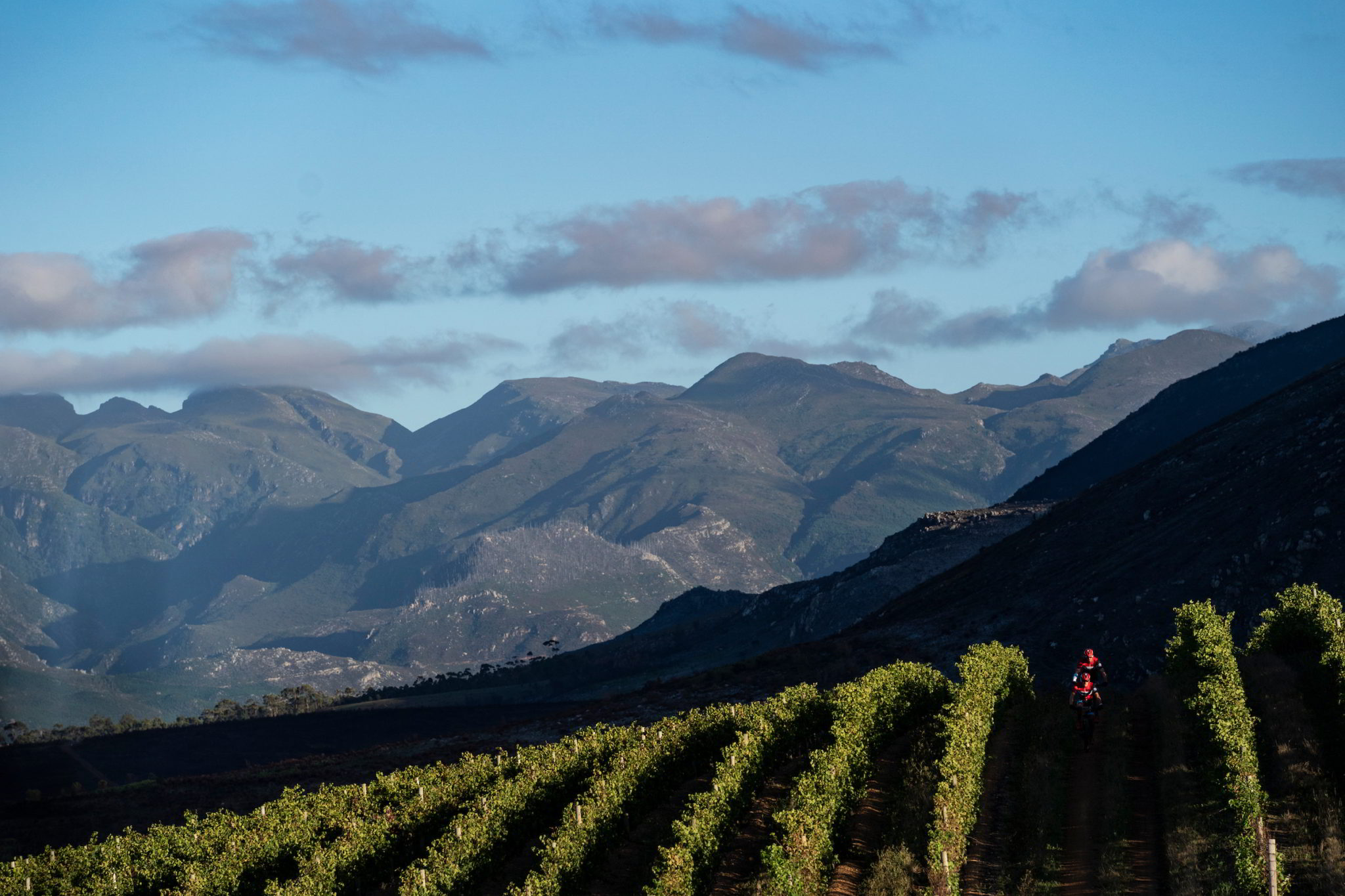 Photo by Nick Muzik/Cape Epic