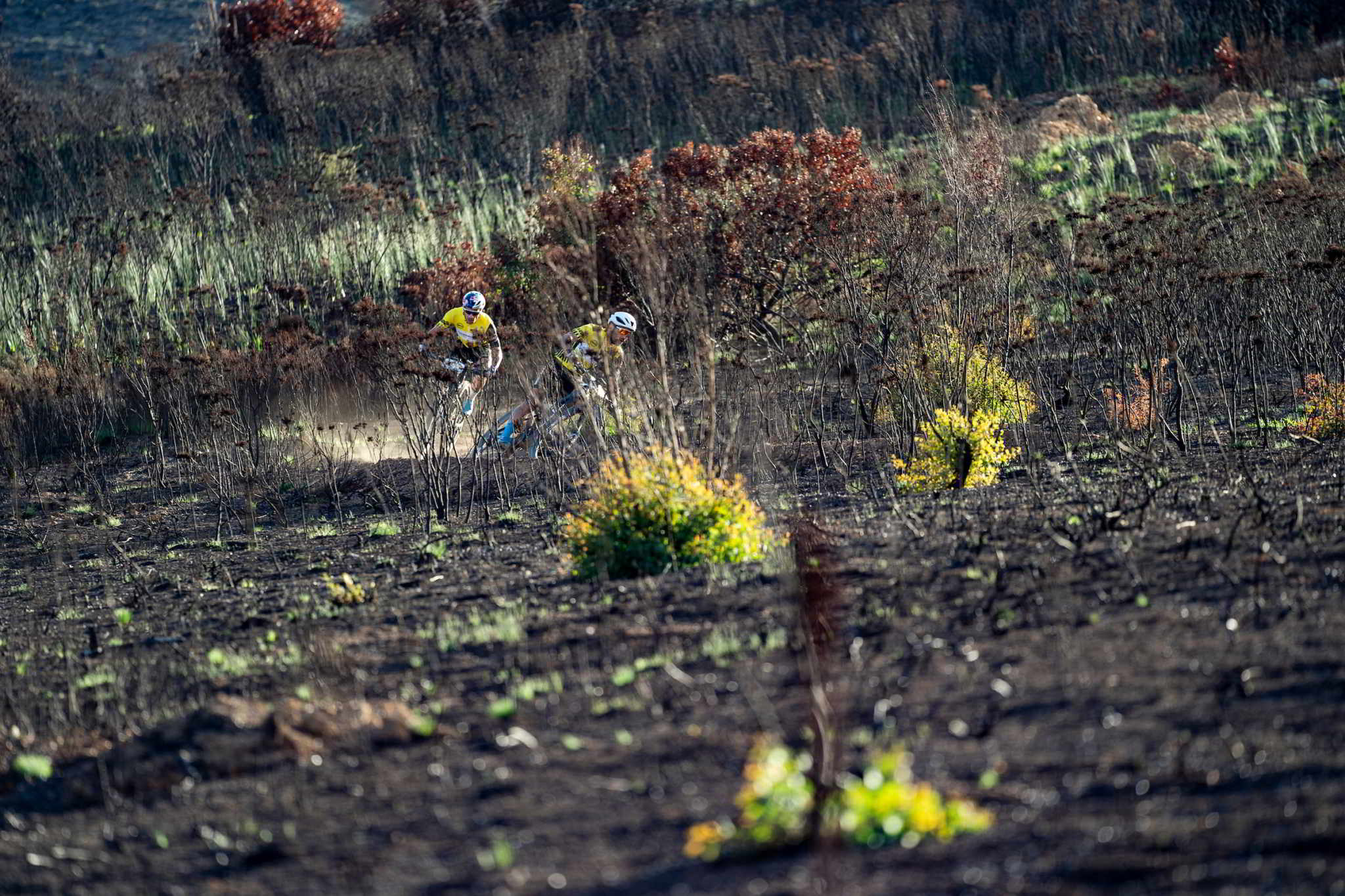 Photo by Nick Muzik/Cape Epic