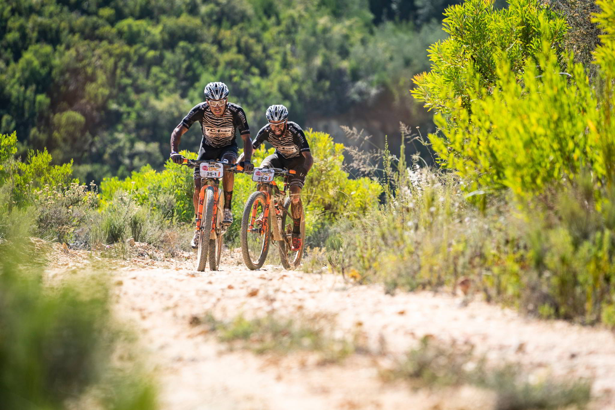 Photo by Nick Muzik/Cape Epic