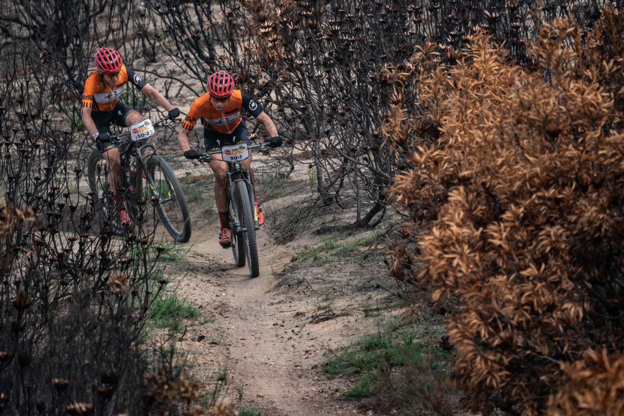 Photo by Greg Beadle/Cape Epic