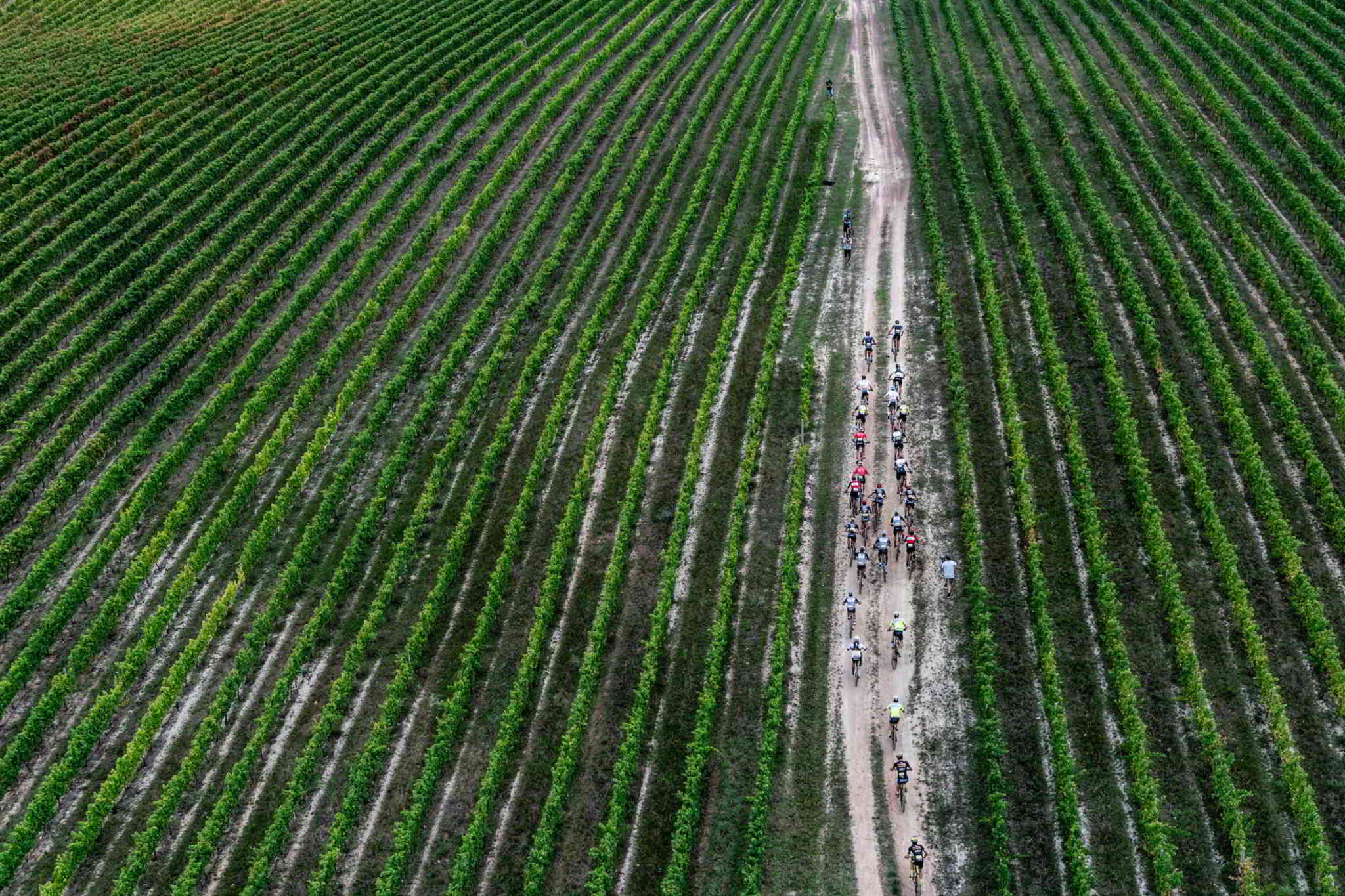 Photo by Greg Beadle/Cape Epic