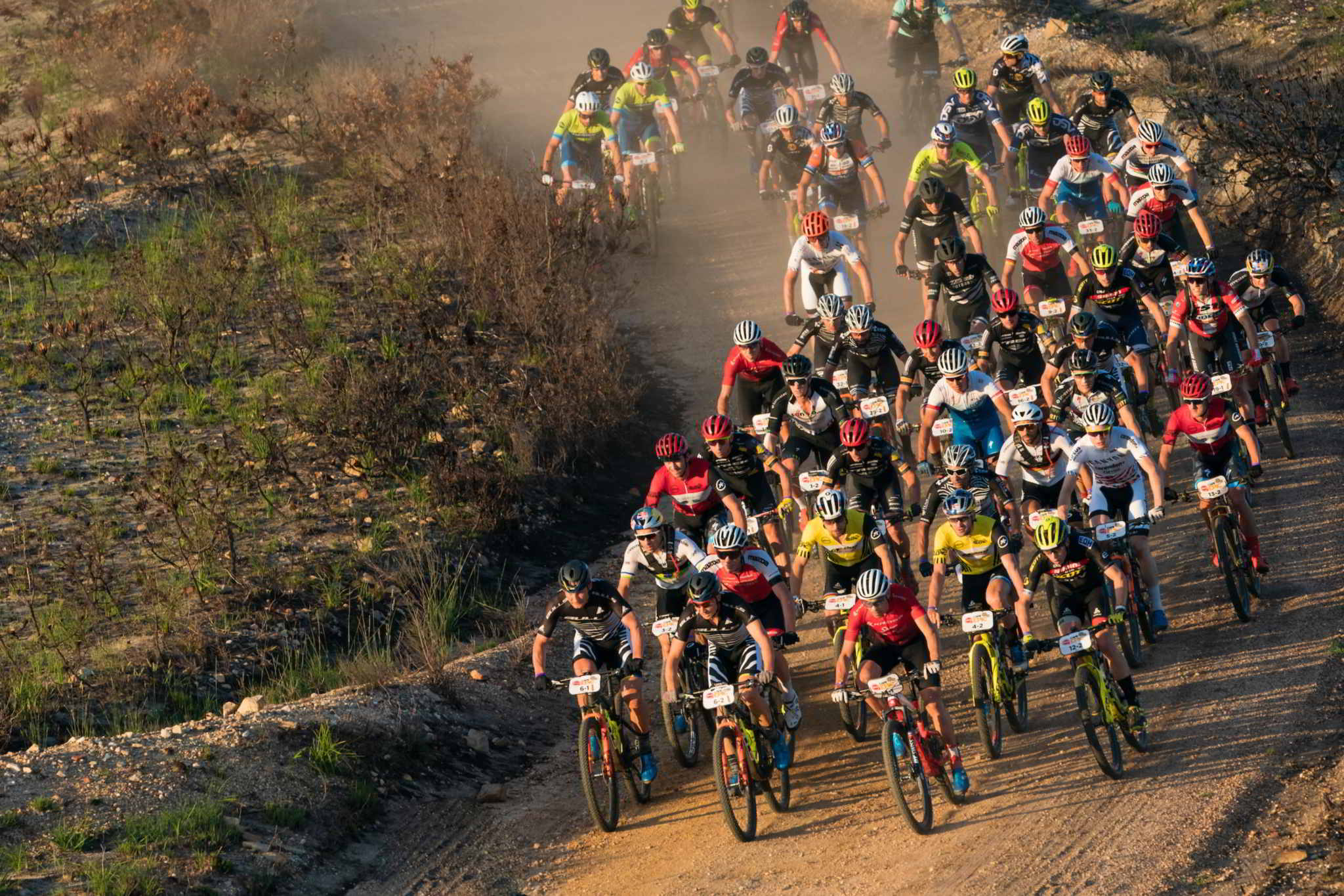 Photo by Greg Beadle/Cape Epic