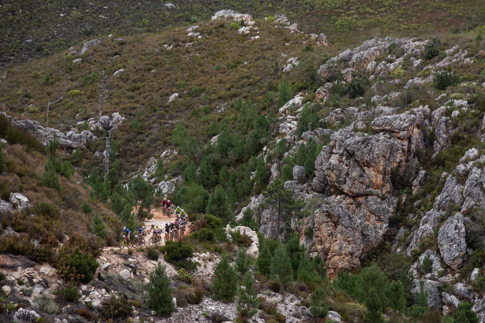 <br />Photo by Sam Clark/Cape Epic