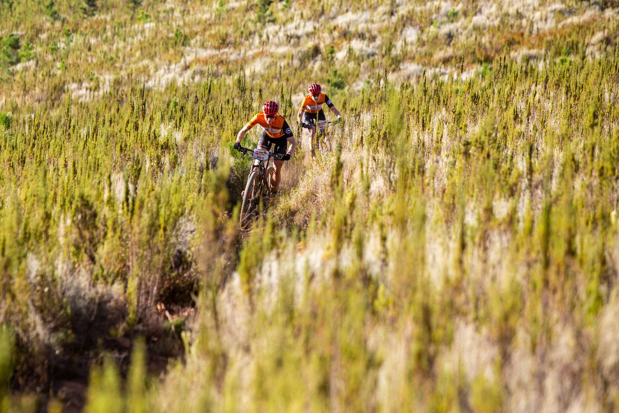 Photo by Sam Clark/Cape Epic